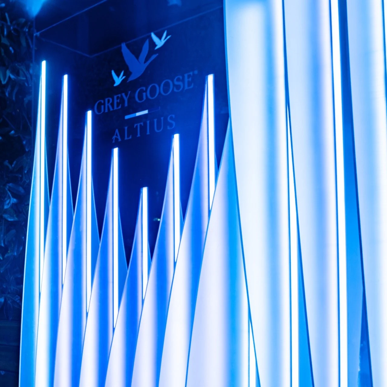 Grey-Goose-@-VIP-ROOM-St-Tropez_Offside-8 - Grande.jpeg