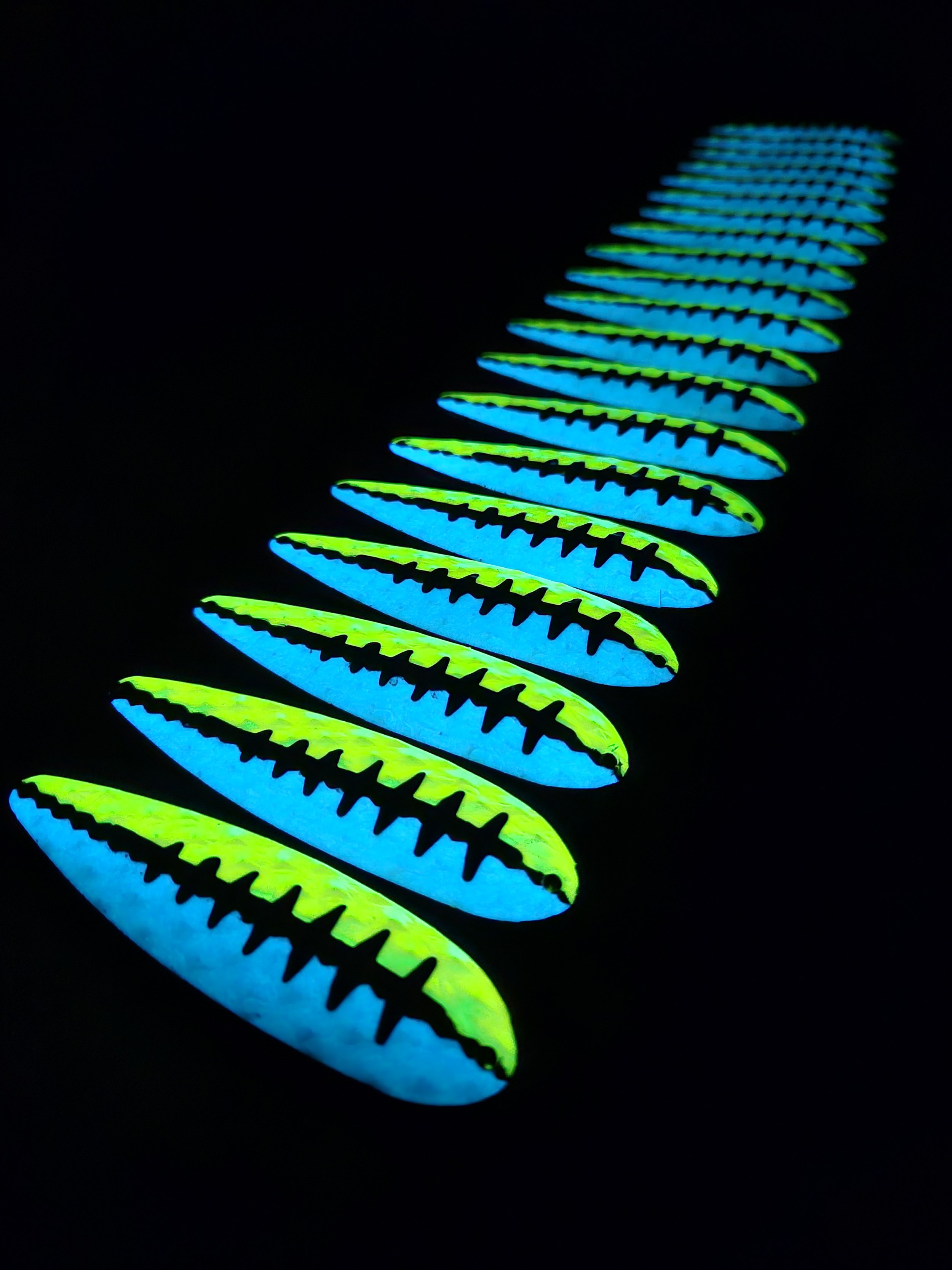 20240820_202010.jpg