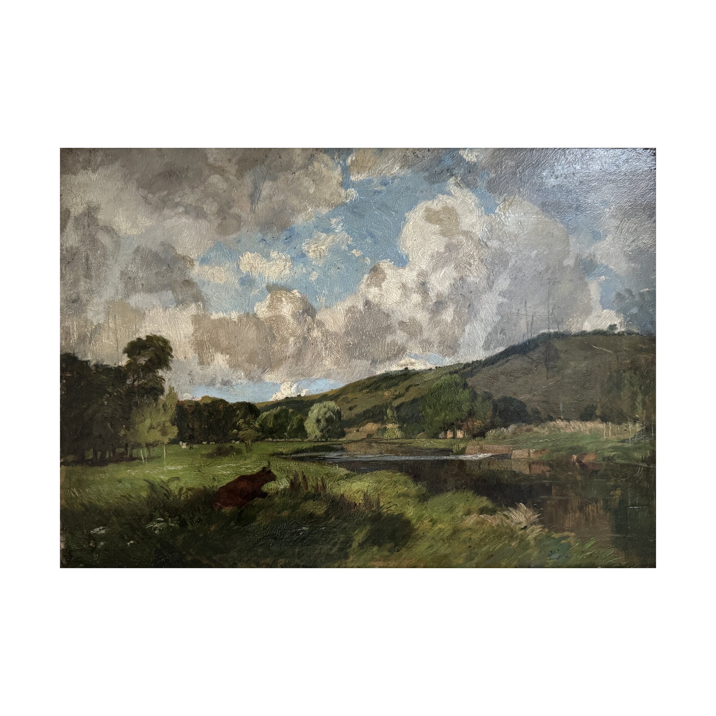 765 CATTLE AT REST_2_web.JPG