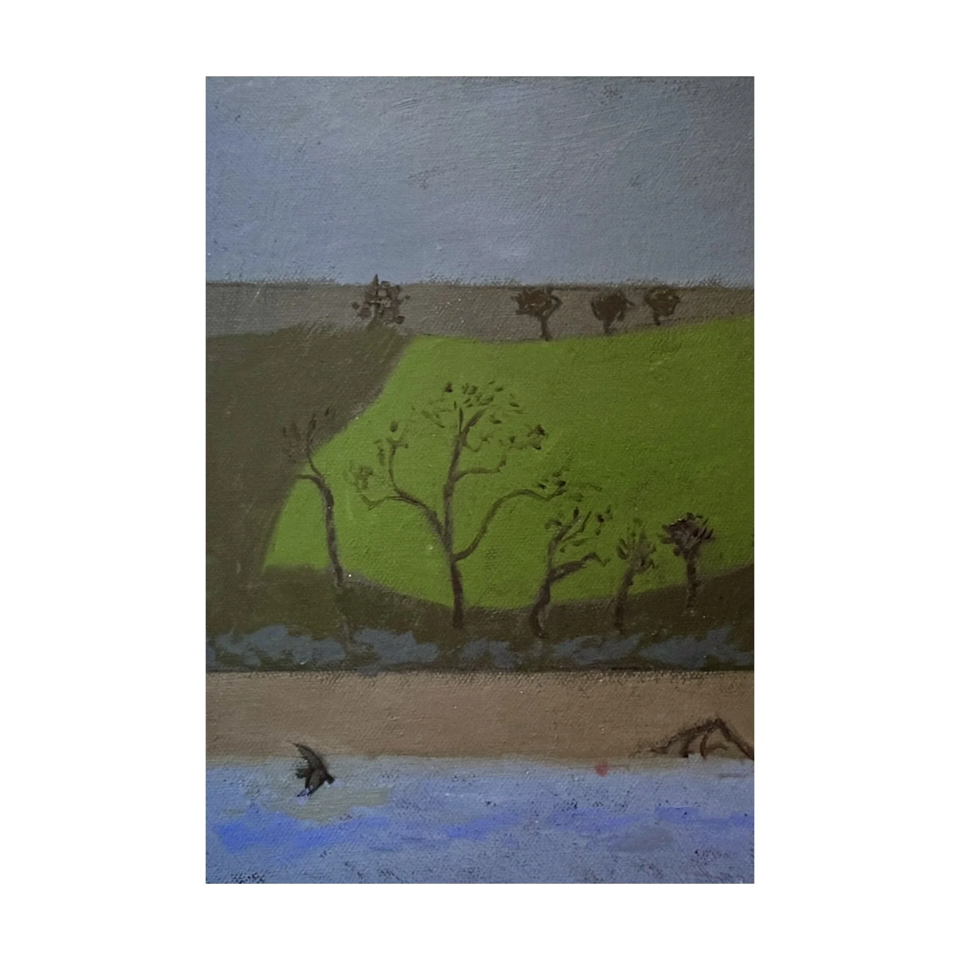 712. Green Field David Field_3_web.JPG