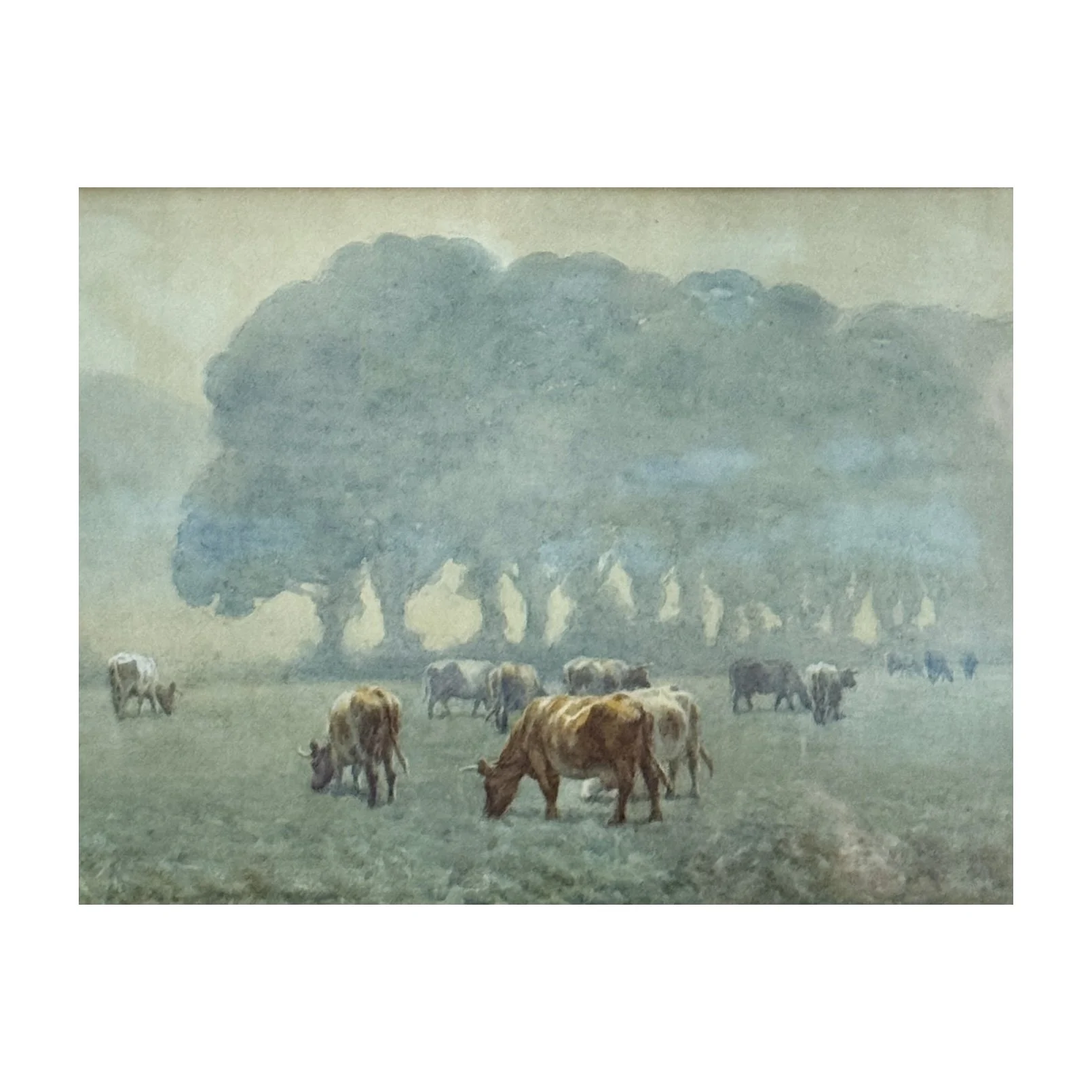 764. GRAZING COWS_3_web.JPG