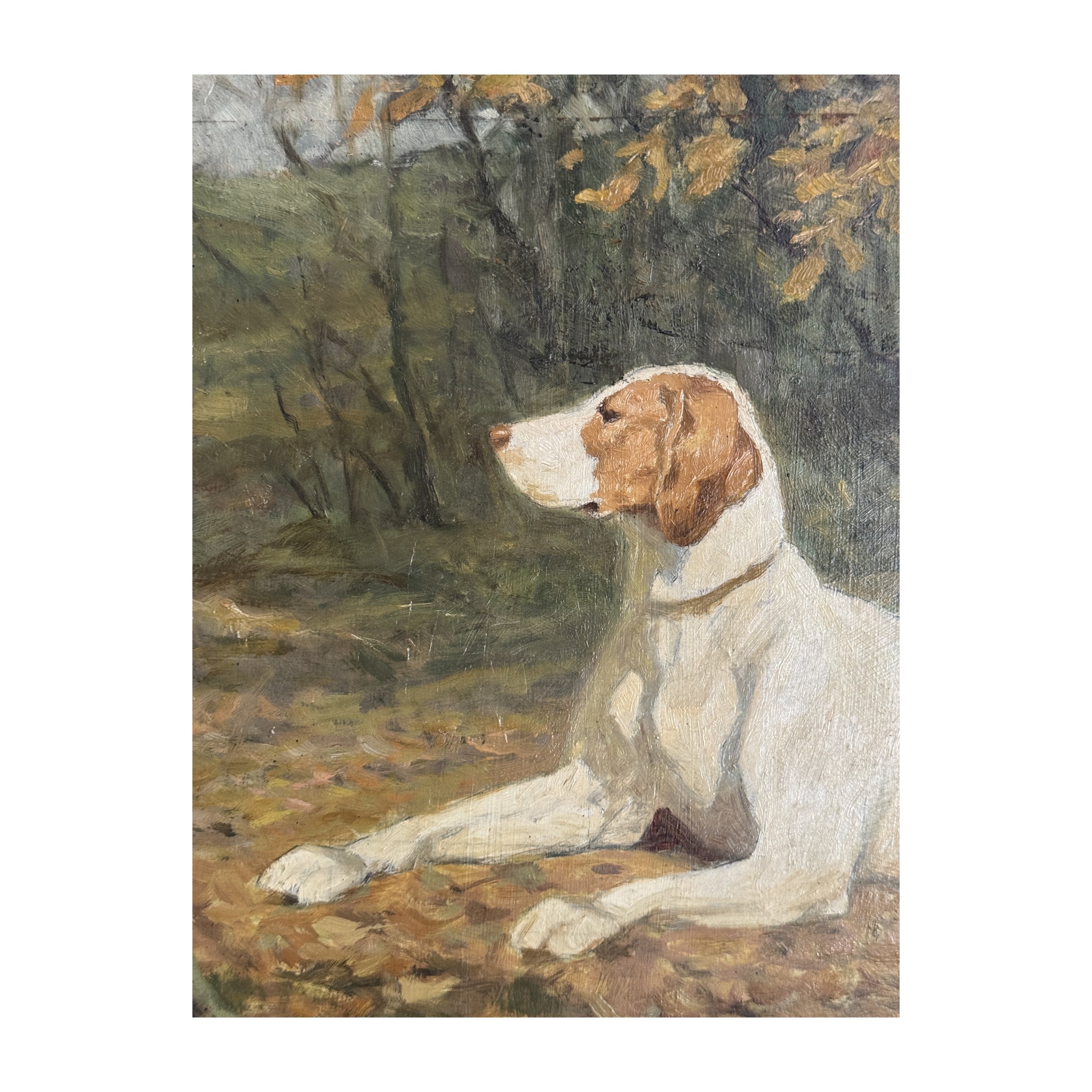 769 THE POINTER_antique oil painting_5_web.JPG