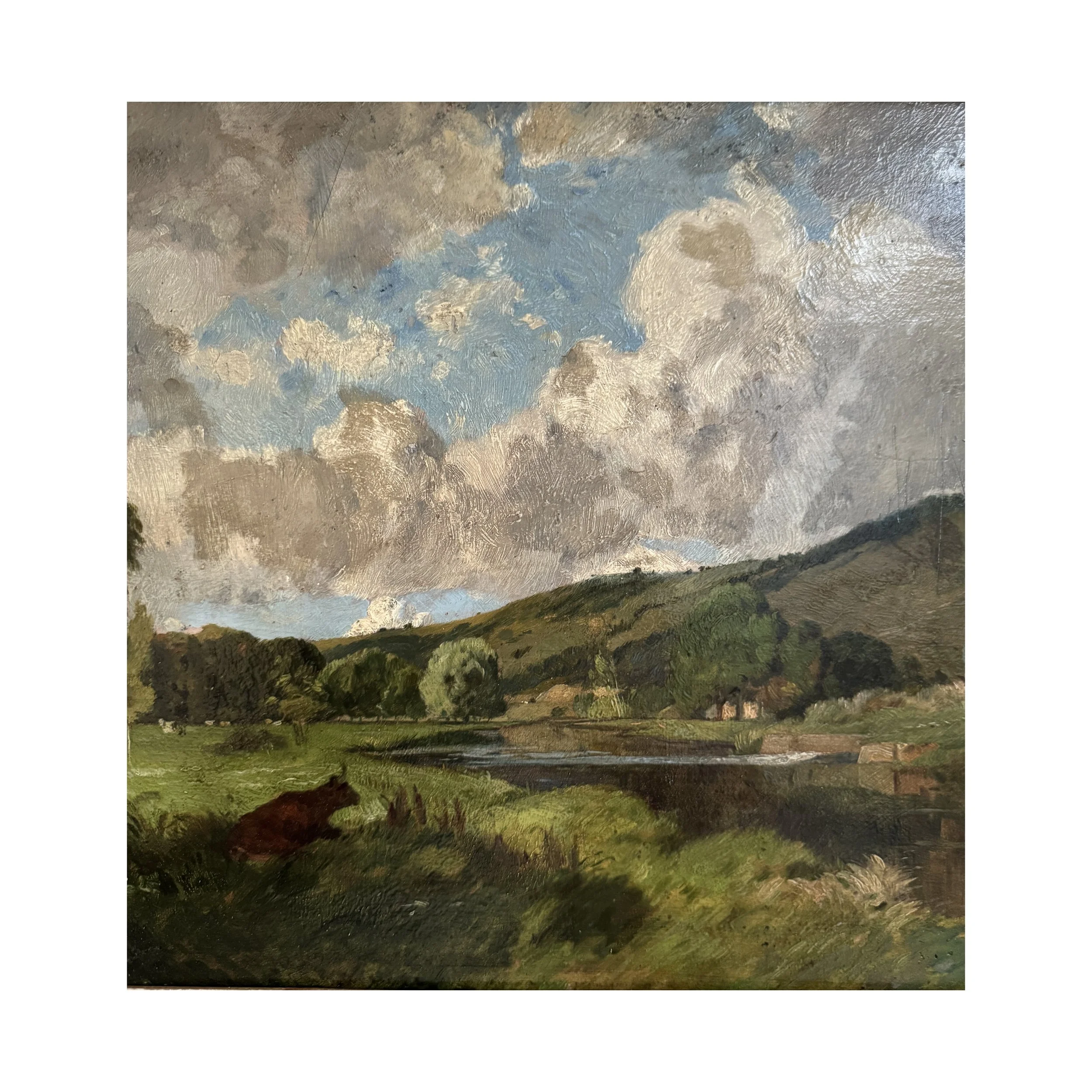 765 CATTLE AT REST_4_web.JPG