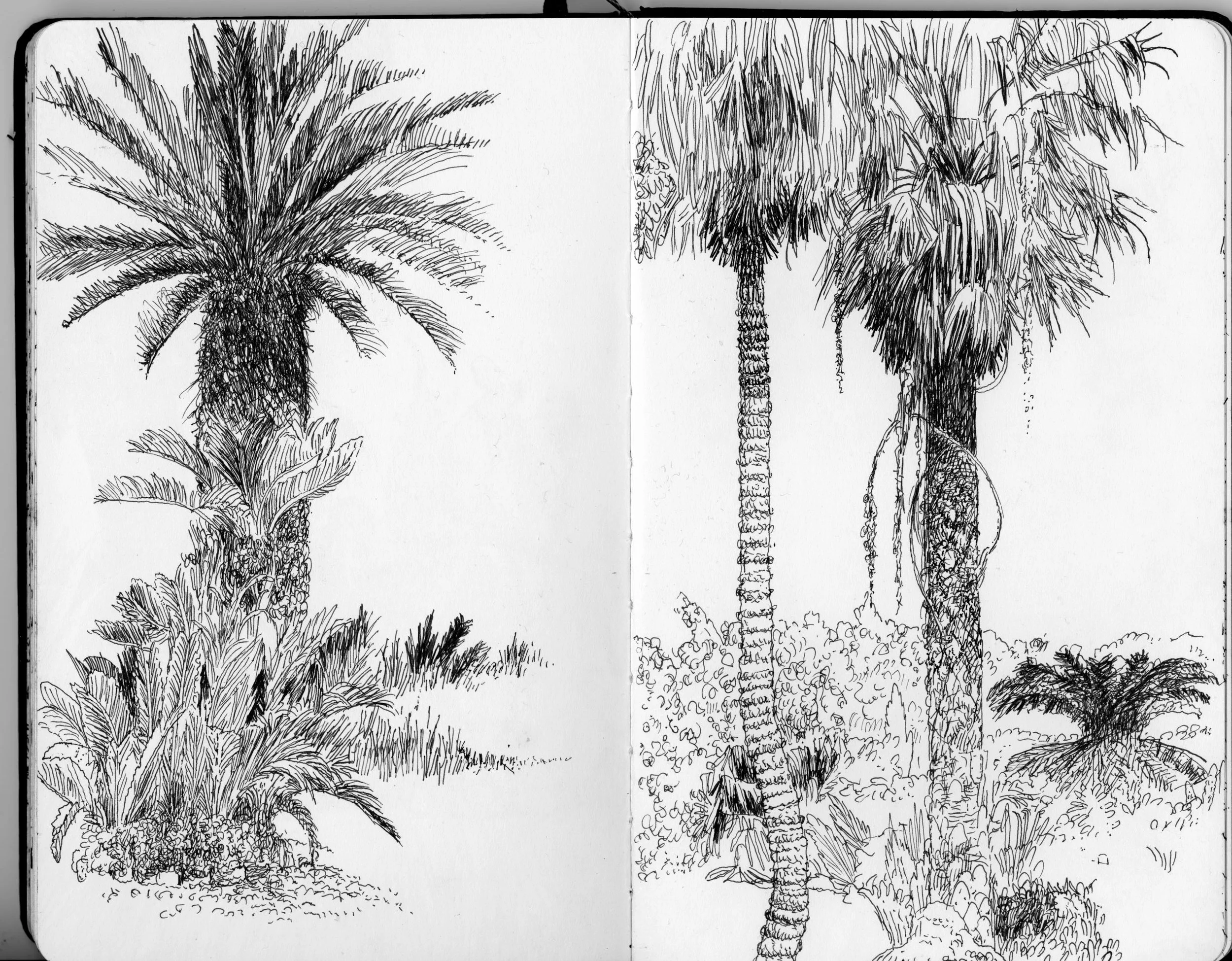 Moleskin Sketchbook09.jpeg