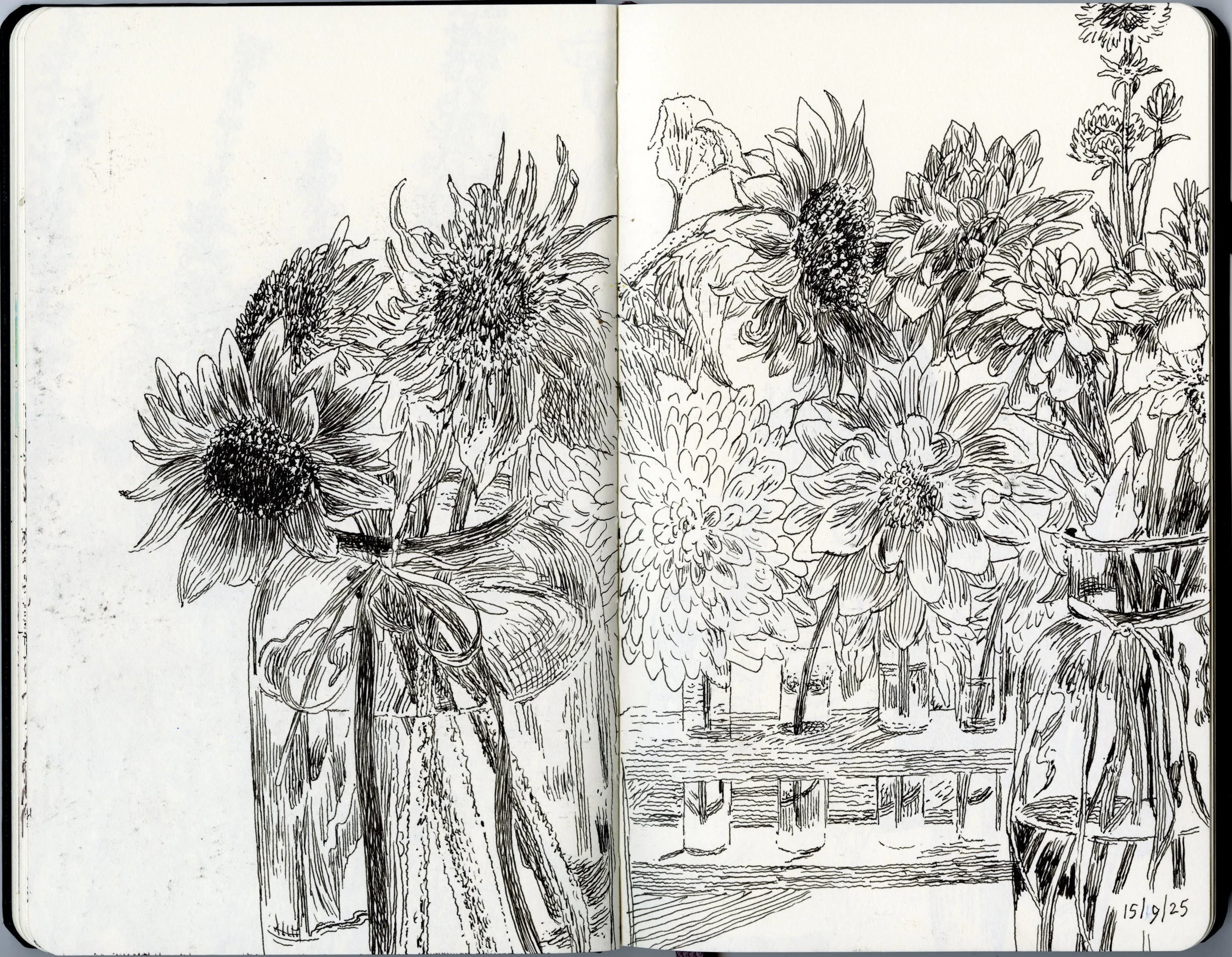 Moleskine BK402.jpeg