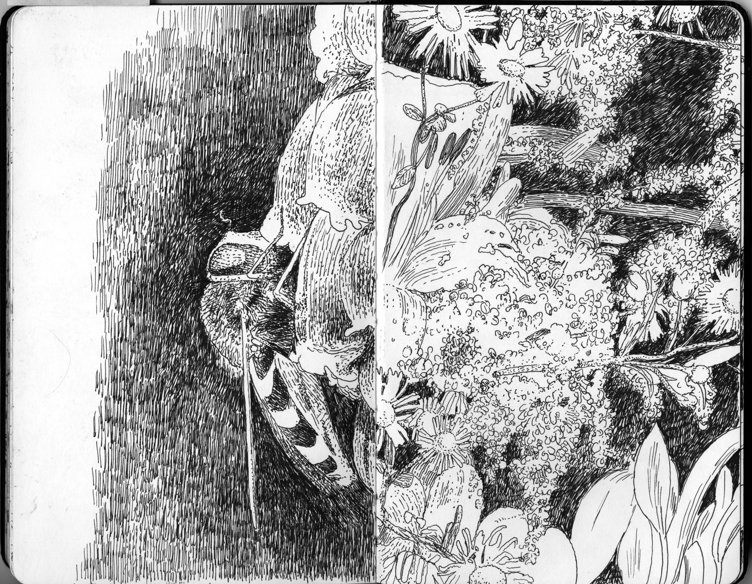 Moleskin Sketchbook 08.jpeg