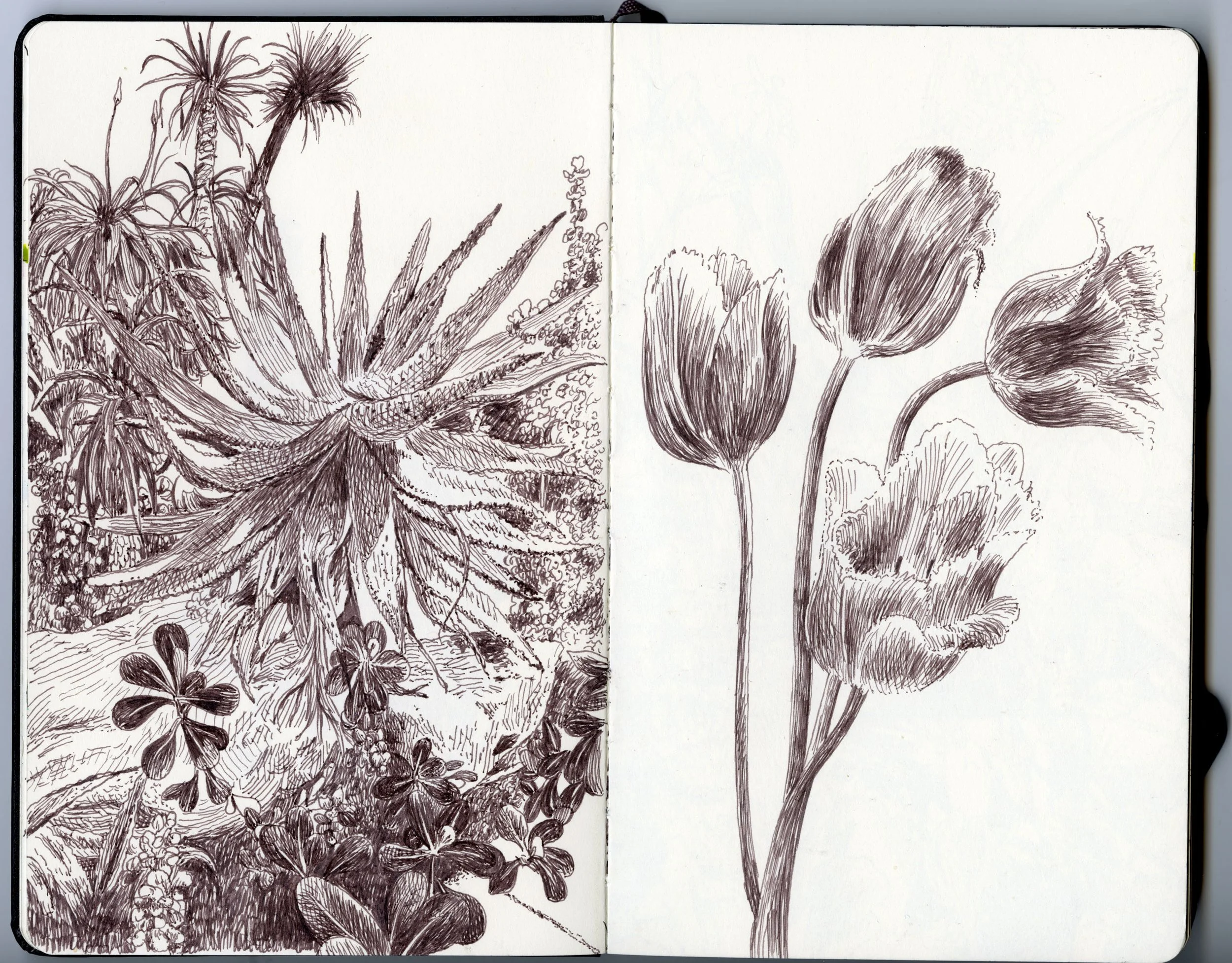 Moleskine B2 05.jpeg