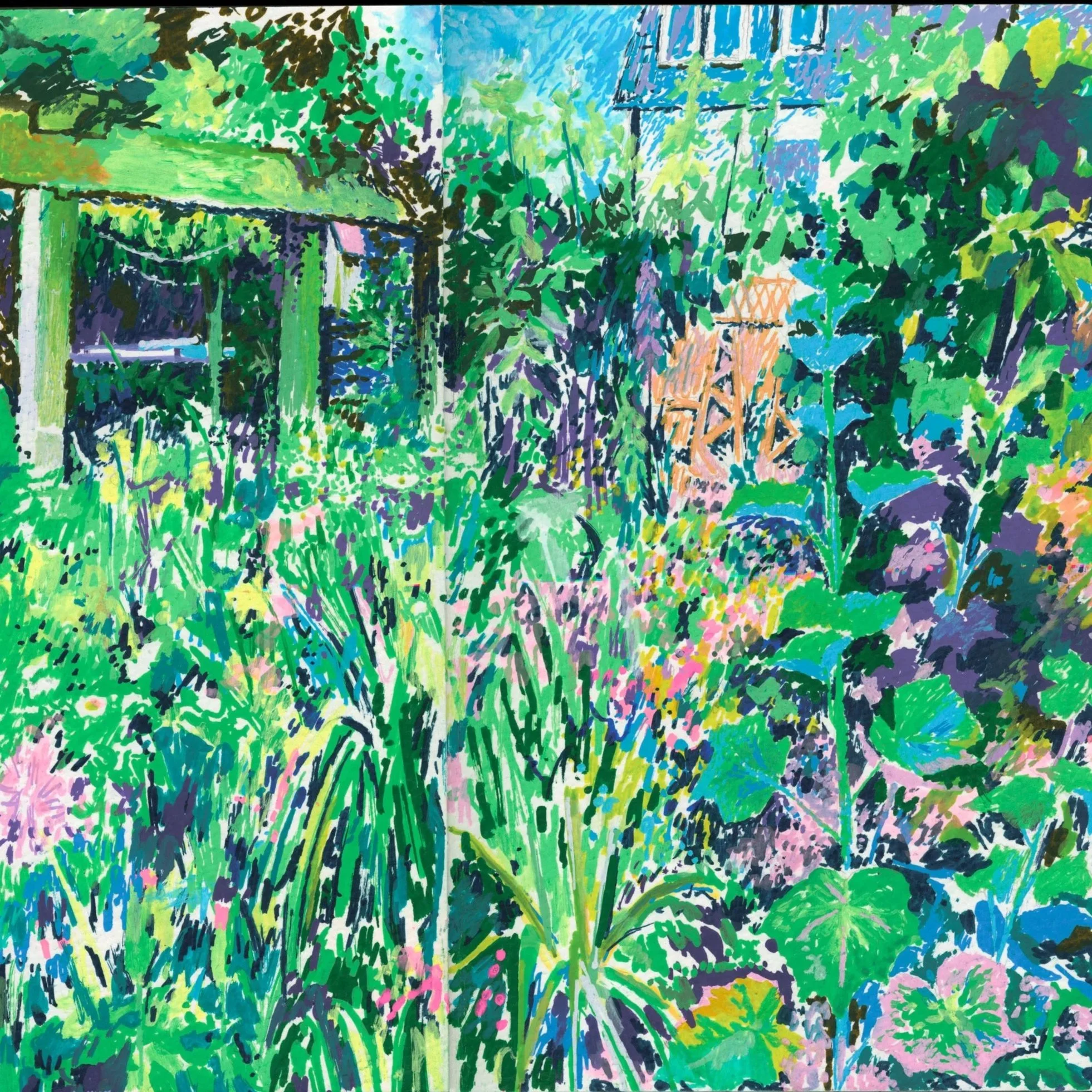 Colour Nature sketches