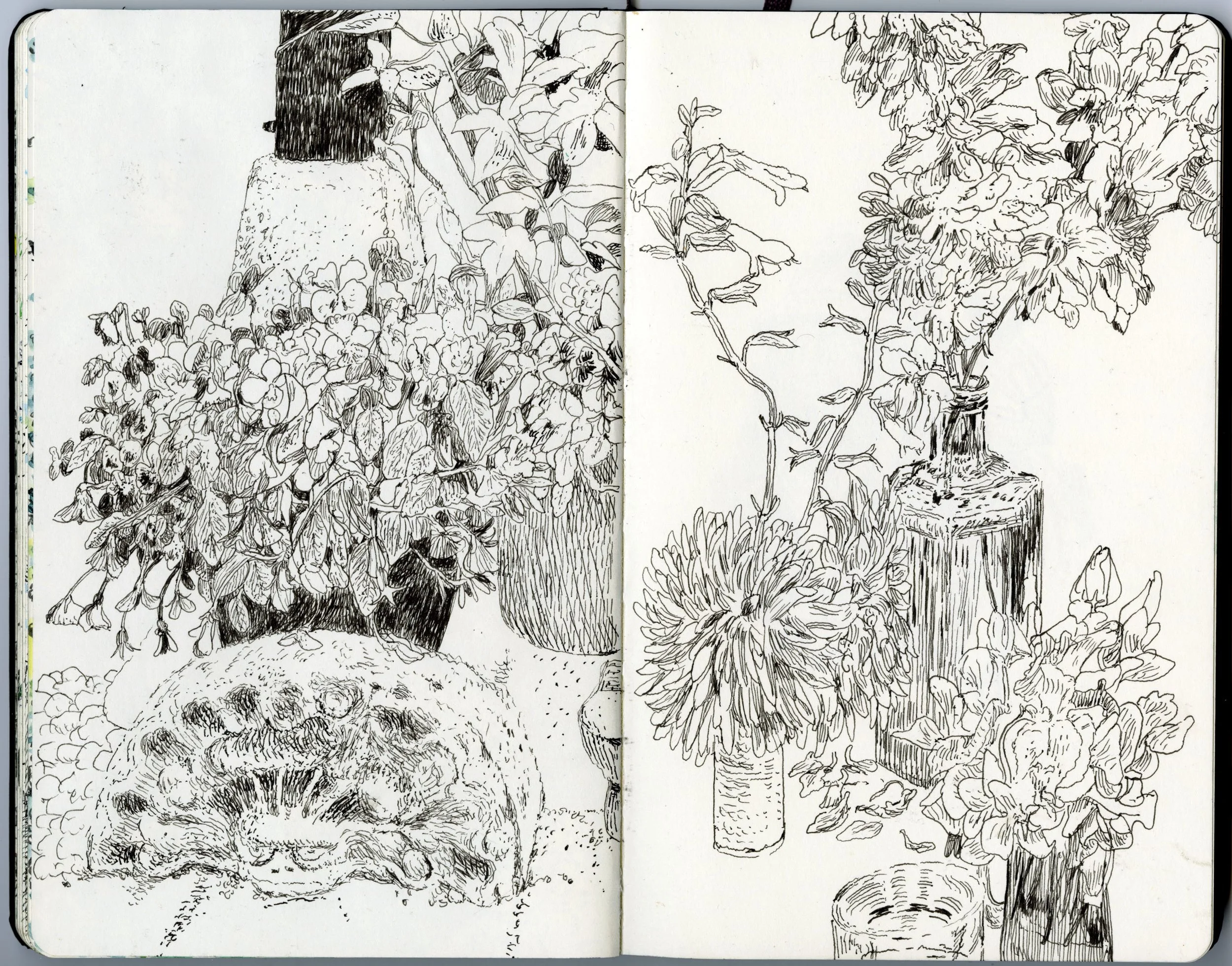 Moleskine B306.jpeg