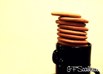 Spice Cookies (EF + NF)