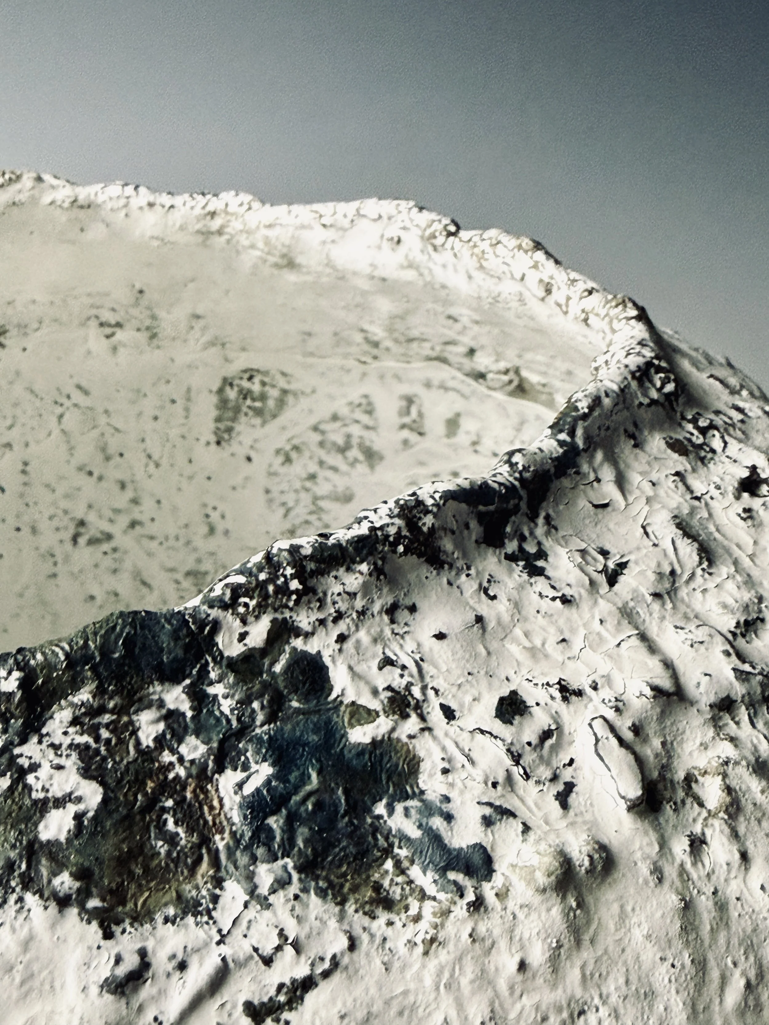 KingRobert_wintersong_Detail2.jpg