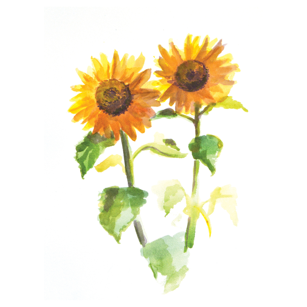 Sunflower Duo - Art Print — Christina Leone Originals