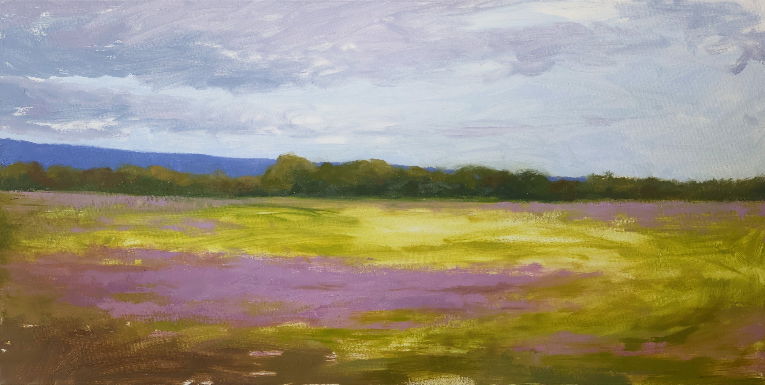 Purple Fields.jpg