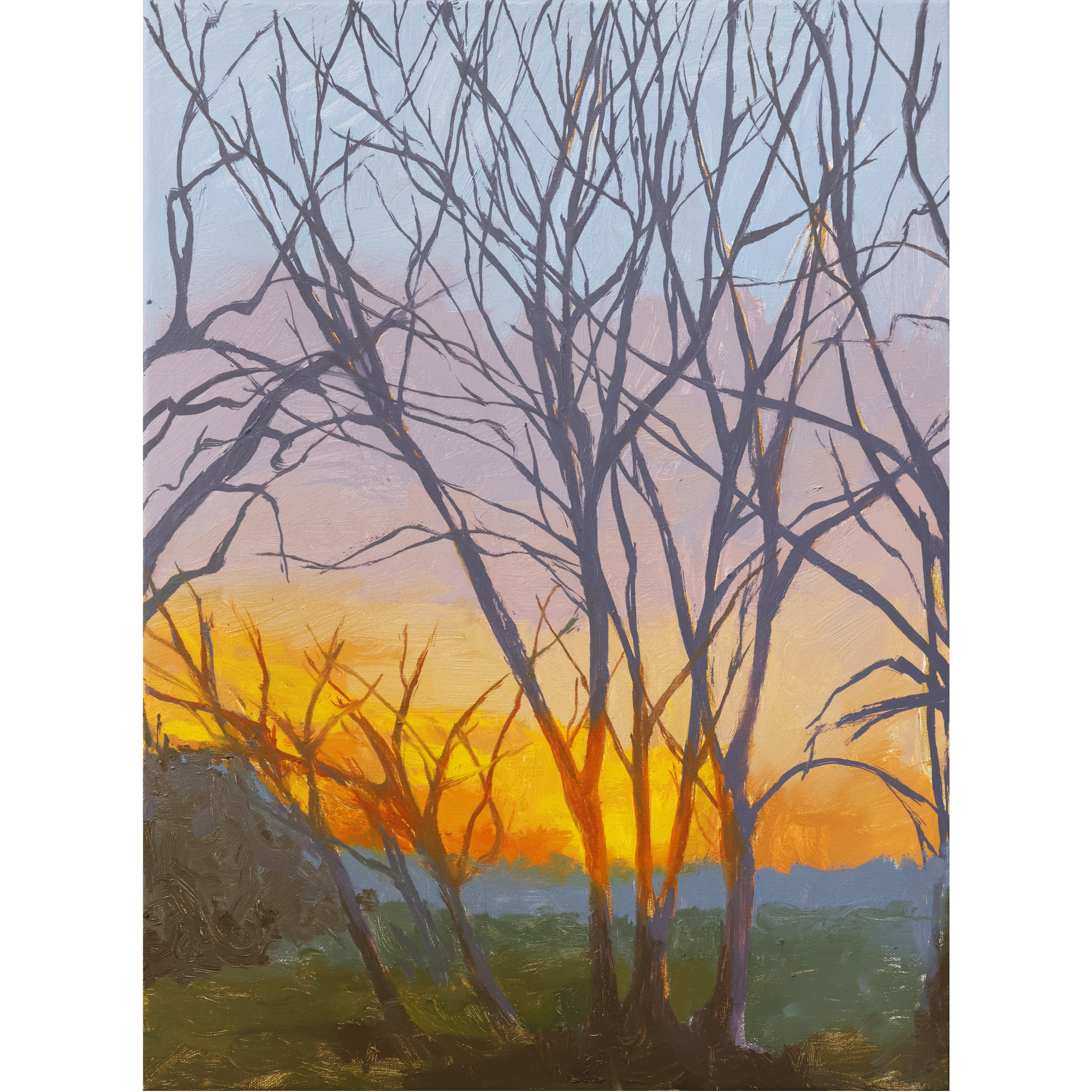 Orange Glow
