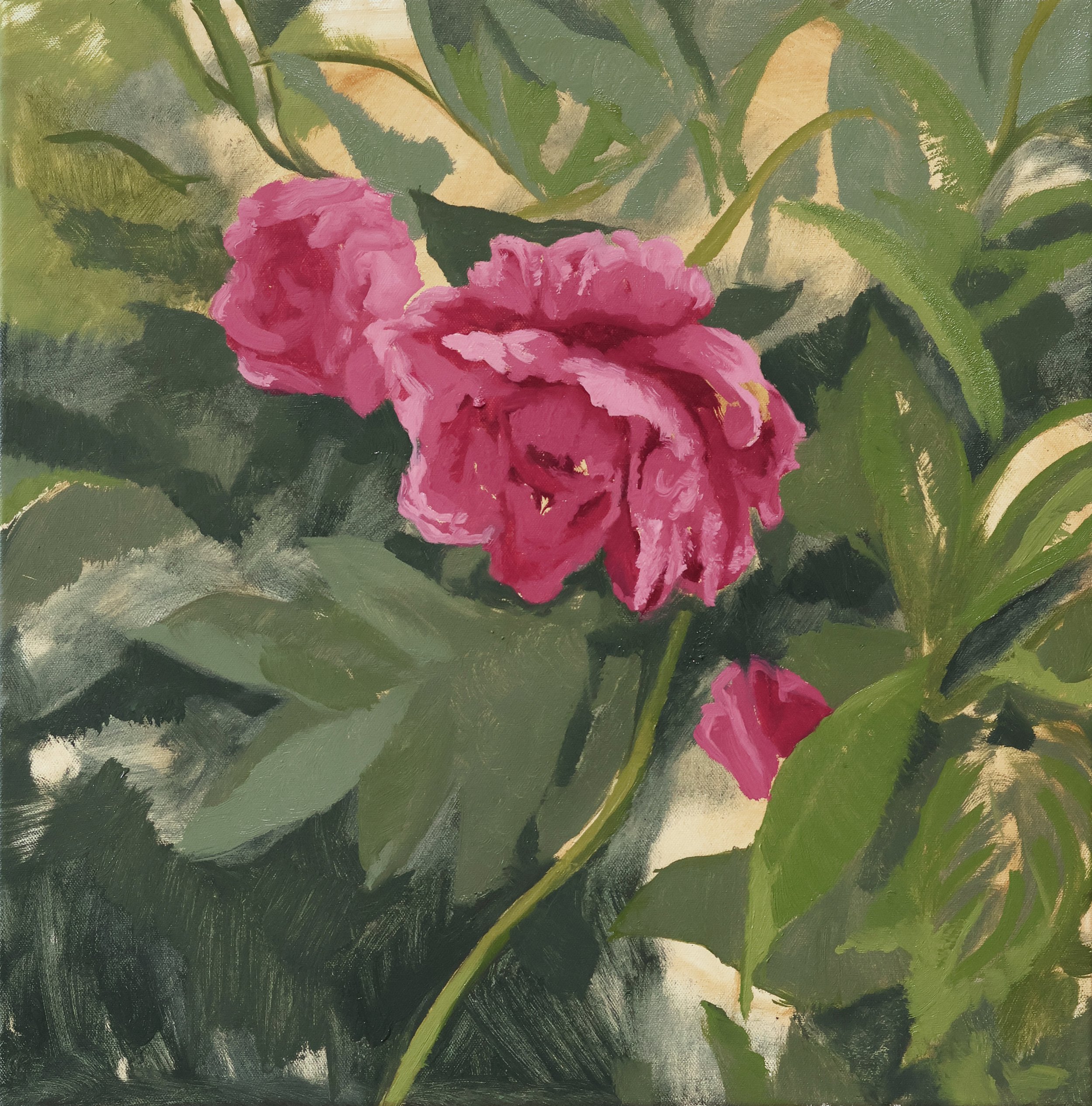 Peony.jpg