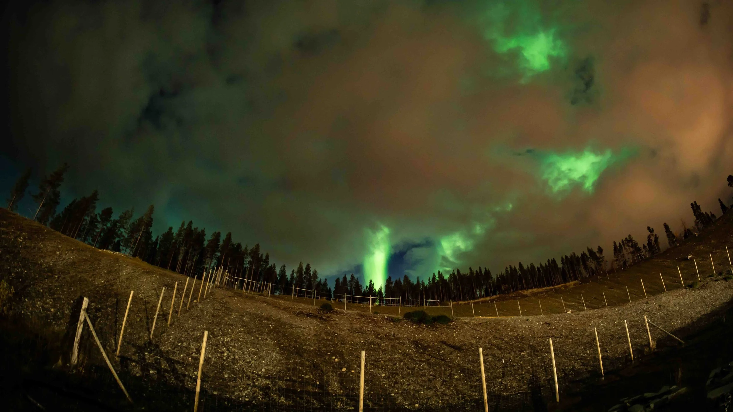 2025-09-30 alta polarlicht7.jpg