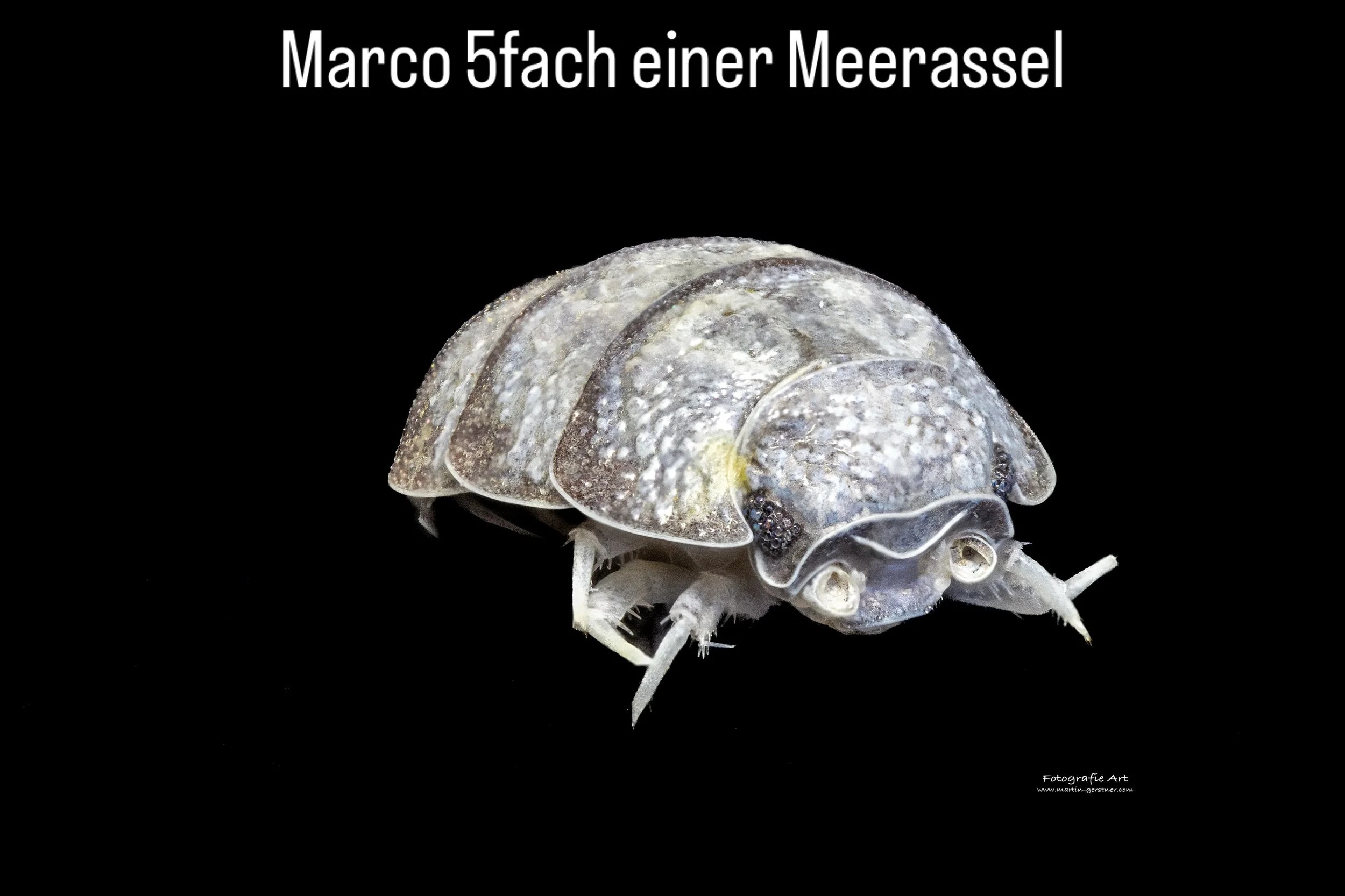 m 152.jpg