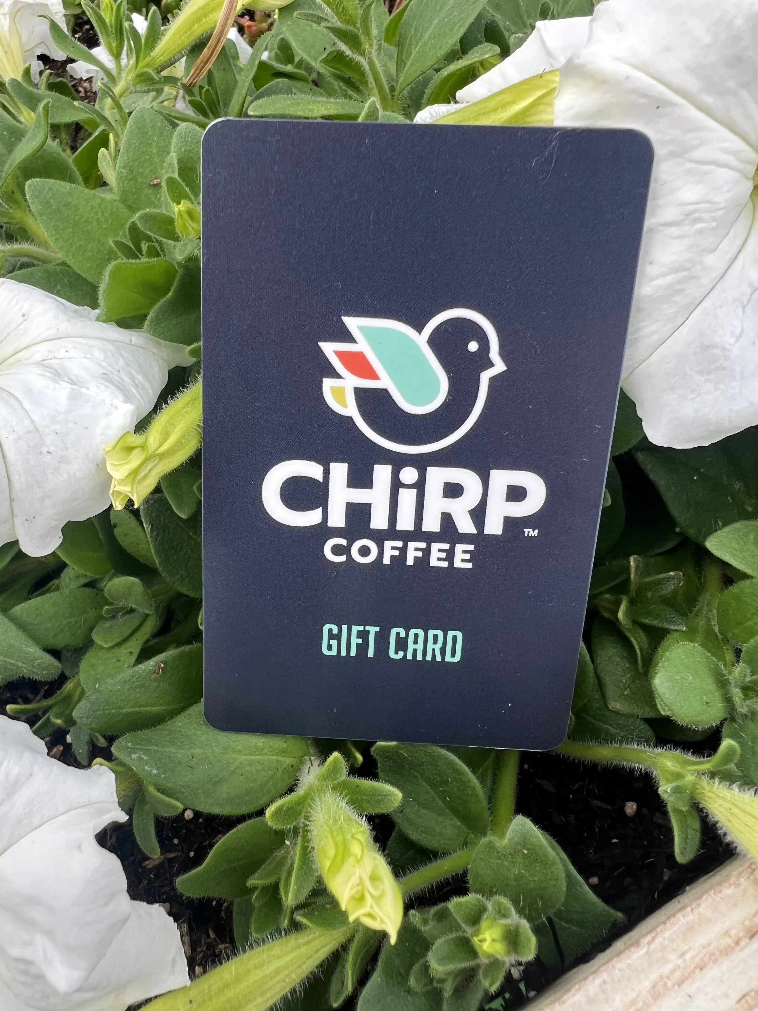 CHiRP Coffee Shop Gift Card