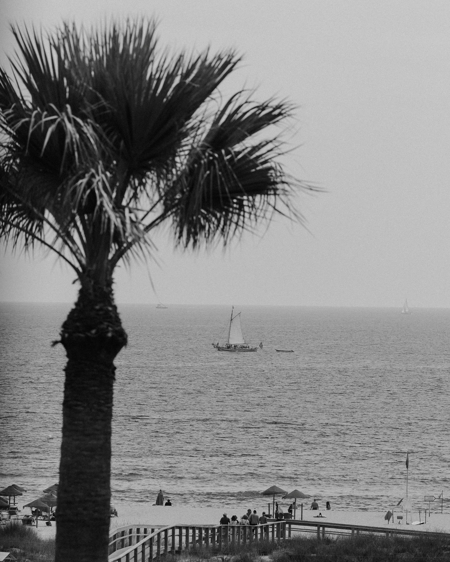 A wedding among the palm trees? Oh yess.. ✨