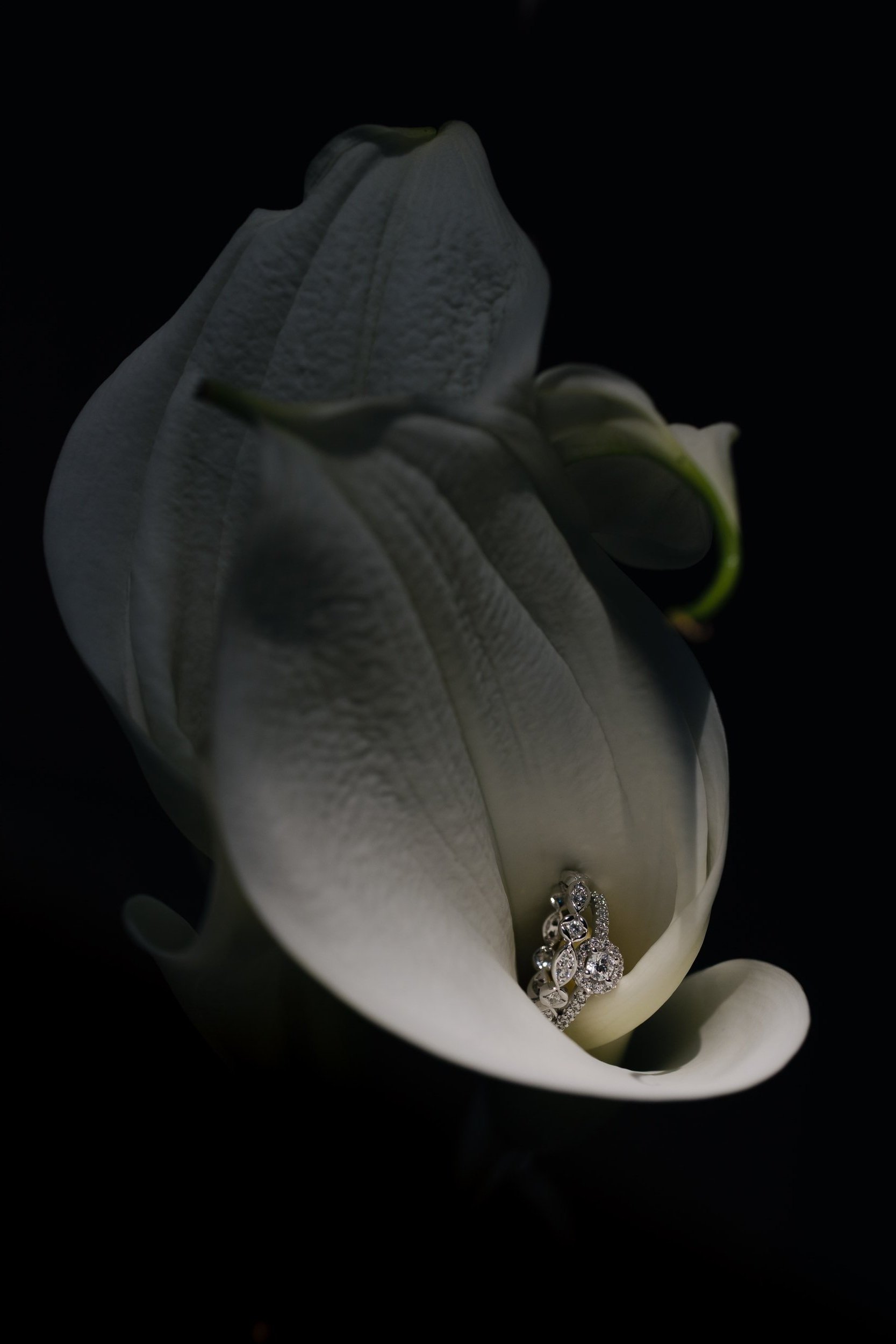 Stella Rheni Sneak Preview Zusatz by AM-3.jpg