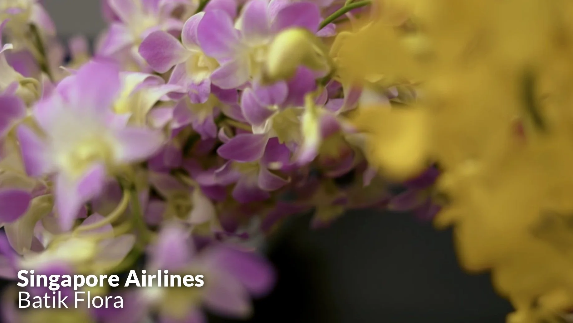 Batik Flora SIA.jpeg