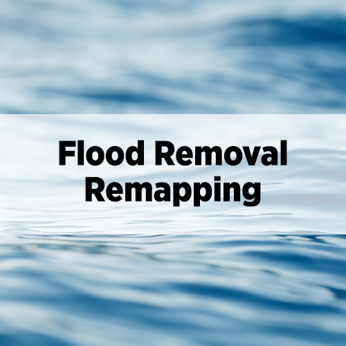 Flood Removal Remapping