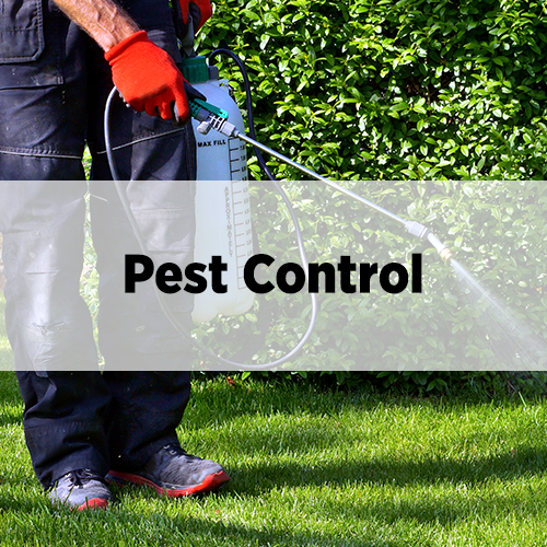 Pest Control