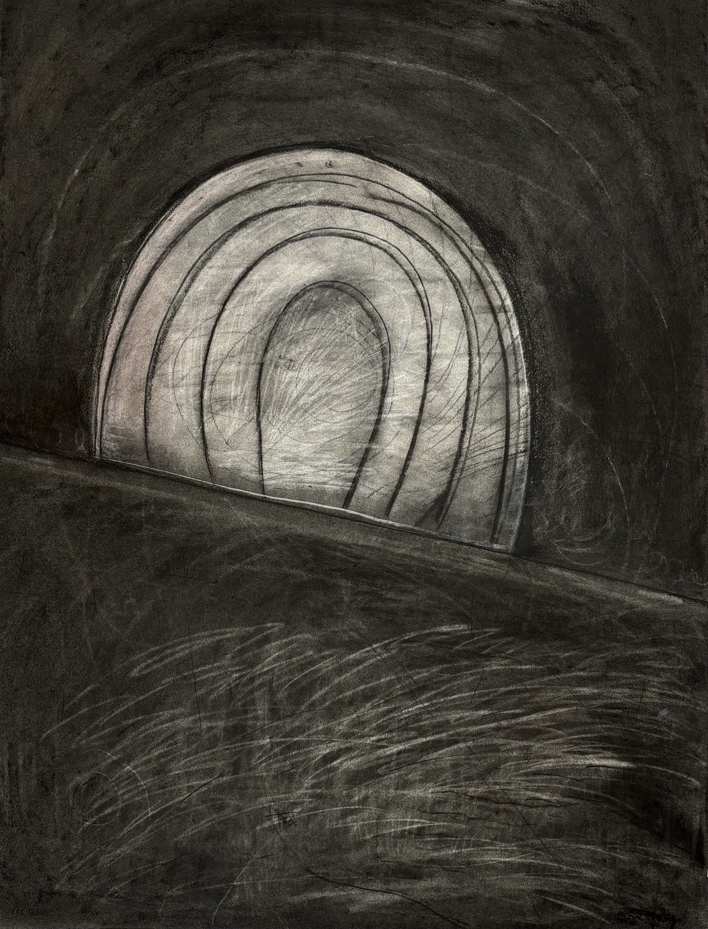 Tall Grass | 2025 | 30 x 22 inches | charcoal, Arches