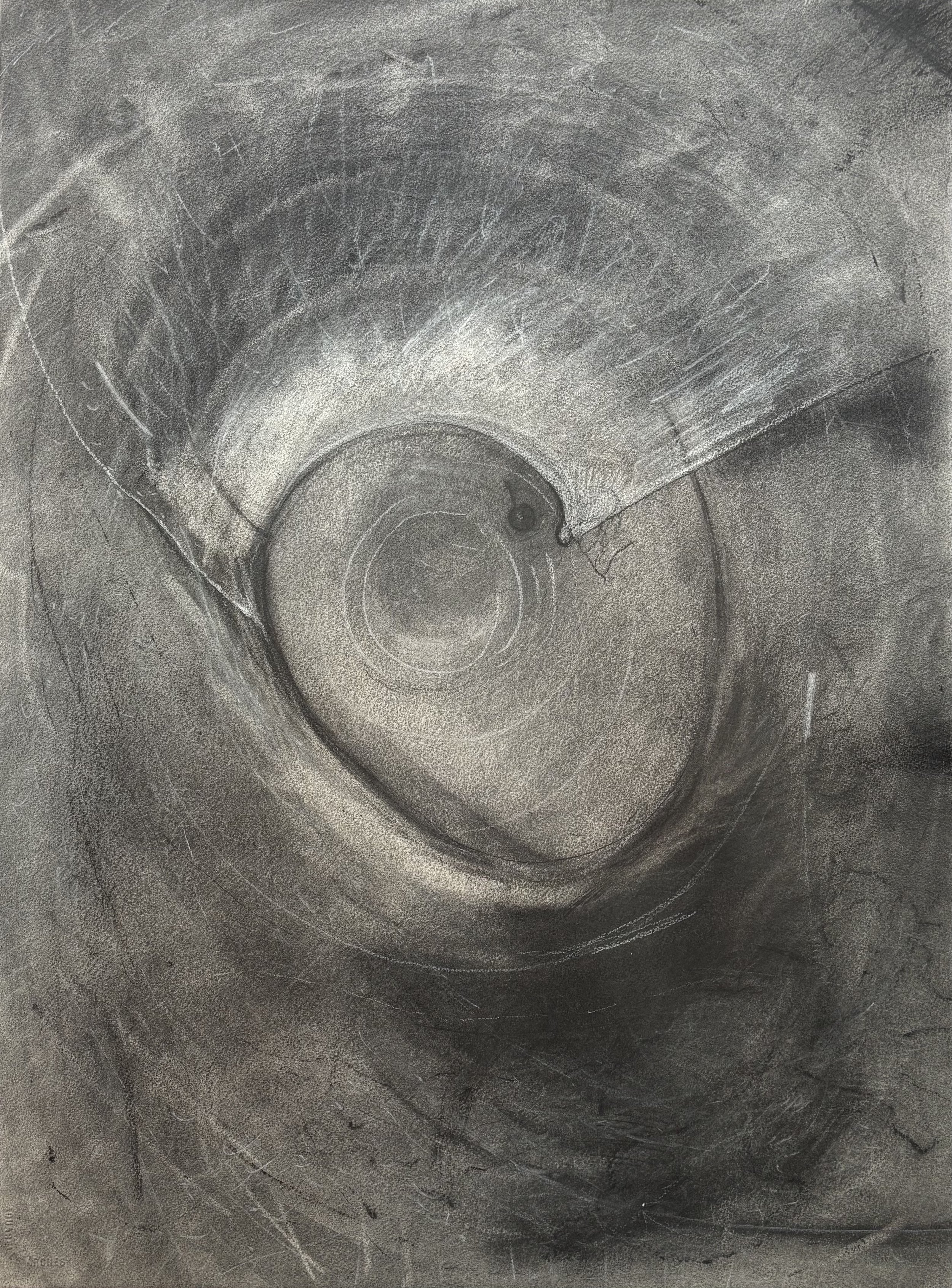 I'm so glad someone caught you | 2025 | 30 x 22 inches | charcoal, Arches
