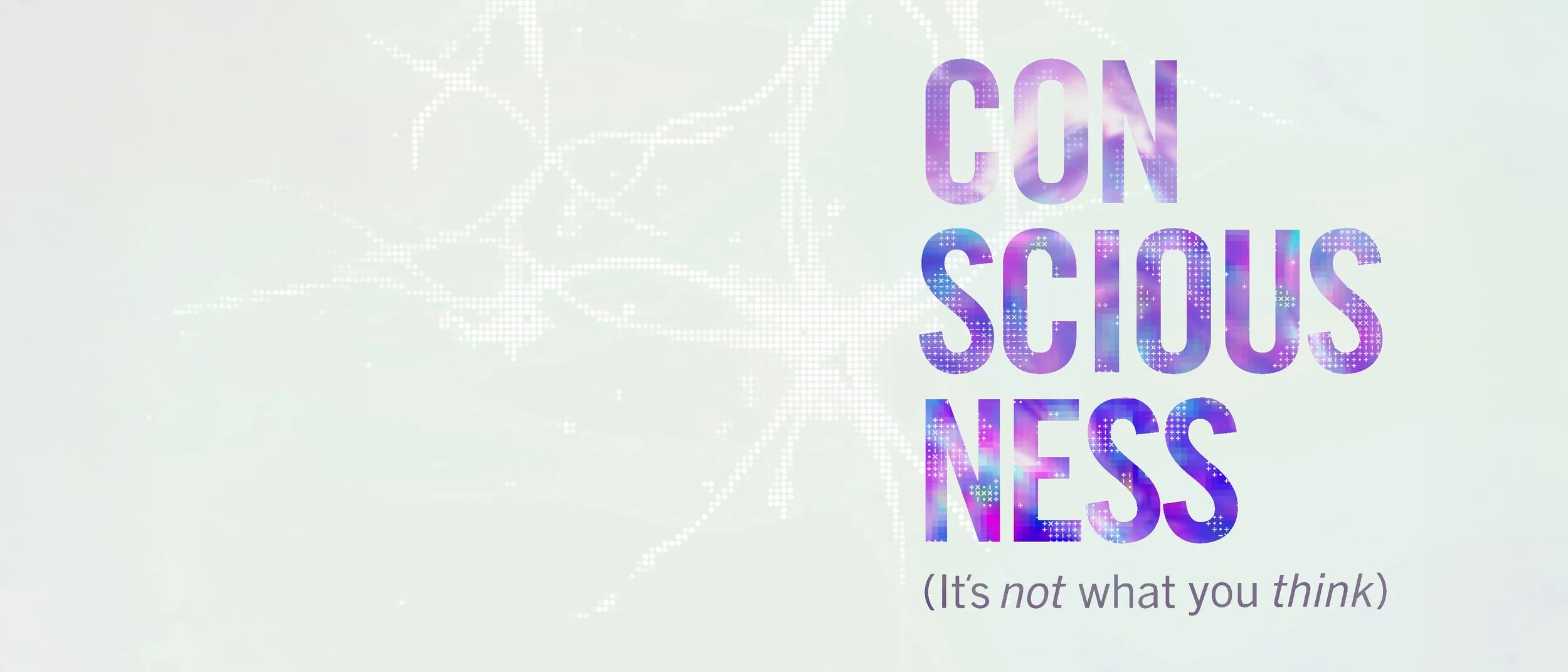 WEB BANNER CONSCIOUSNESS 3500 X 1500.jpg
