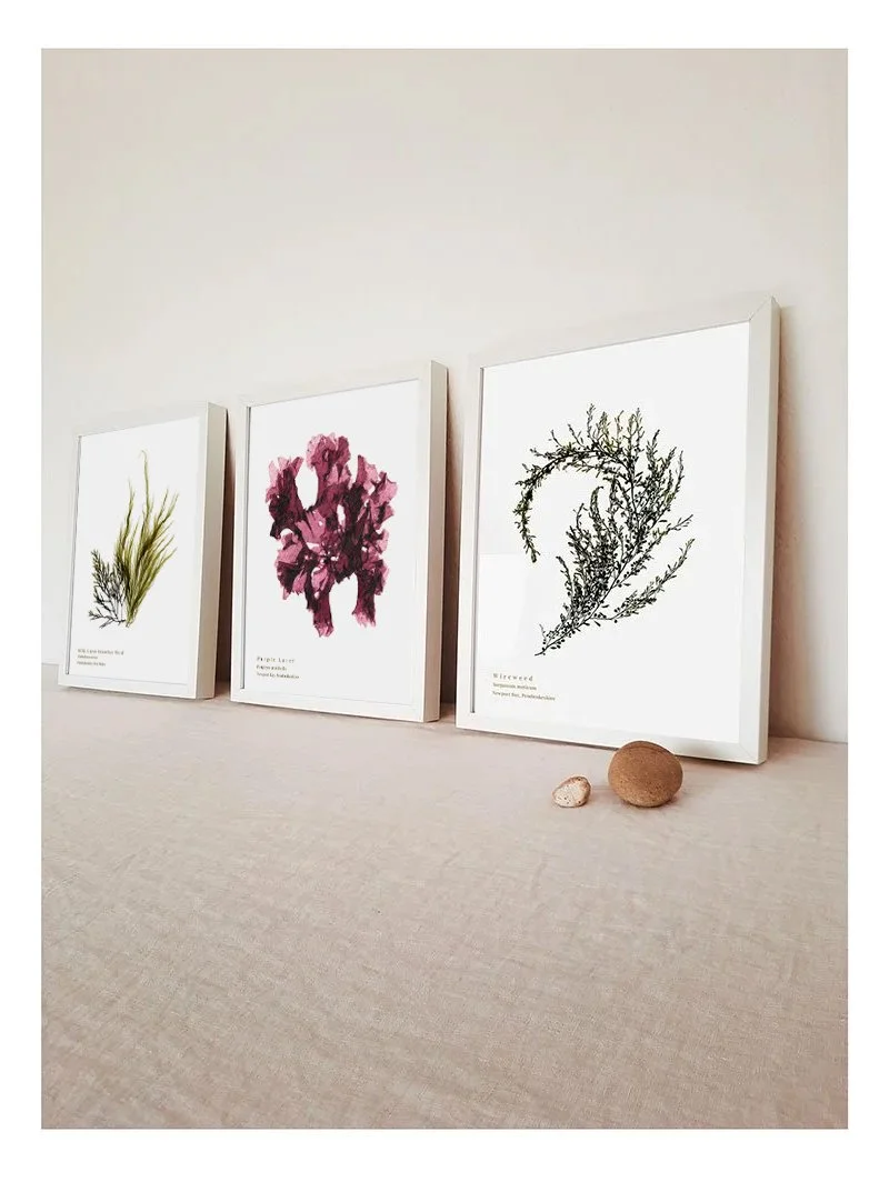 September 2026 best selling seaweed prints.