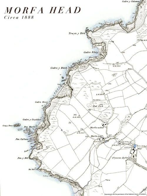 Jon's Map of Wales - a composition of Whales in the shape of Wales - a ...