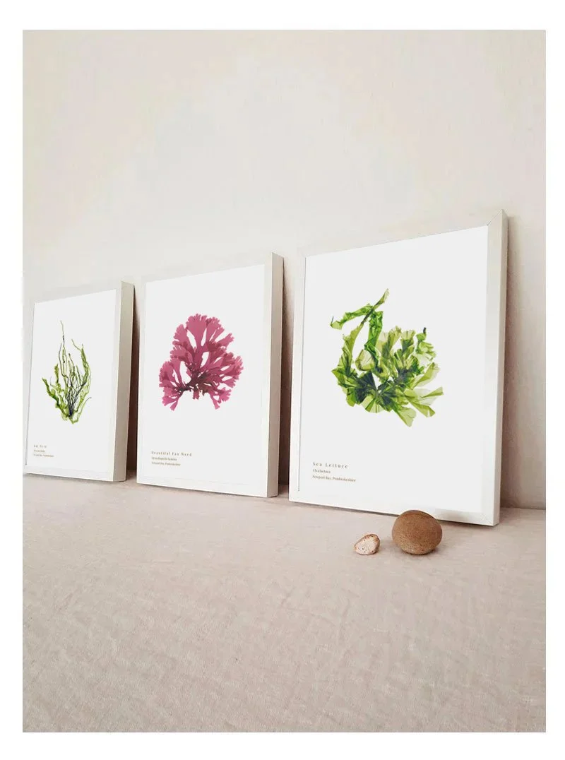 March 2026 Collection