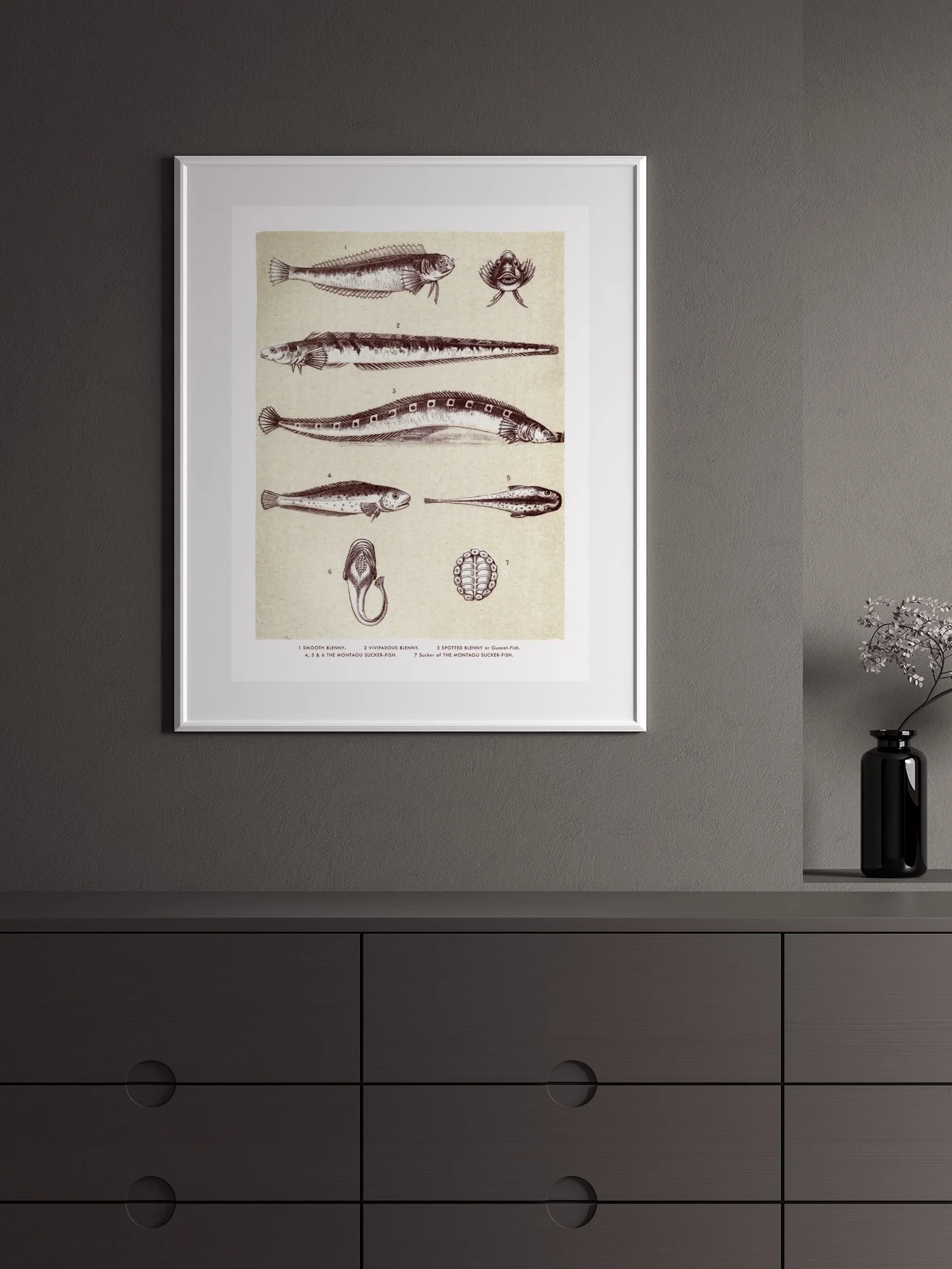 Fish print from Glimpses Of Ocean Life shown framed.