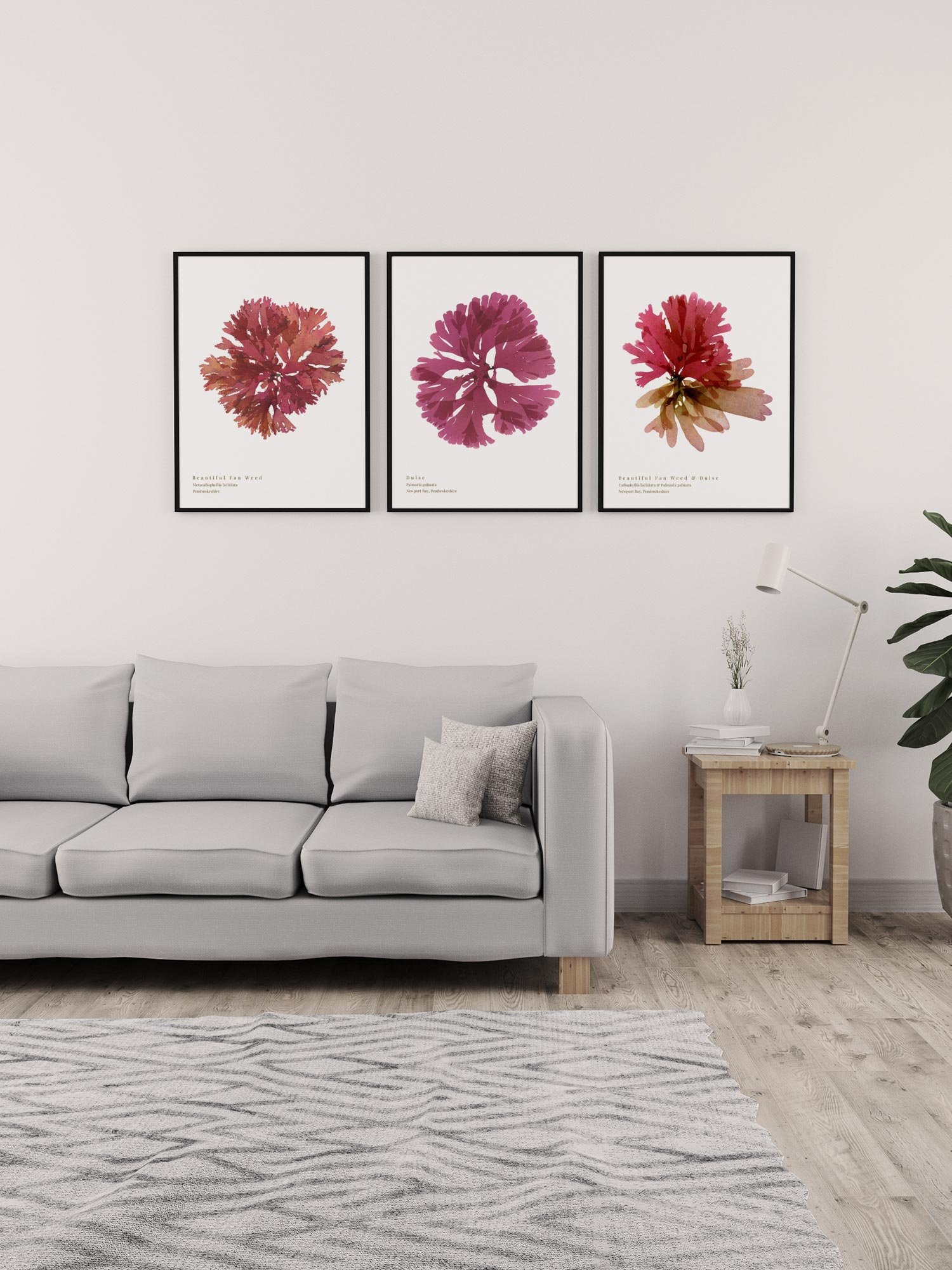 July 2026 best selling seaweed prints