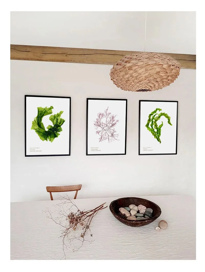 August 2026 best selling seaweed prints.