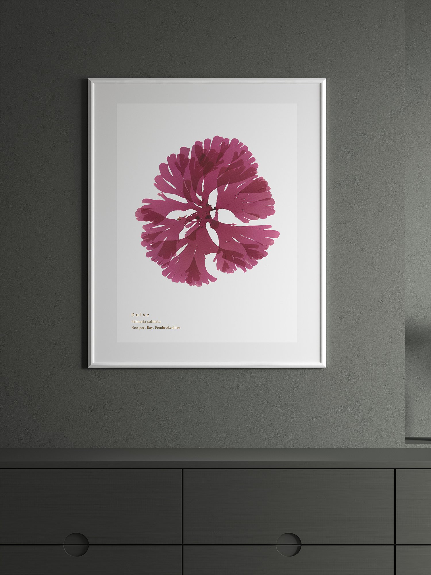 An image showing the Dulse seaweed print in a contemorary room setting.