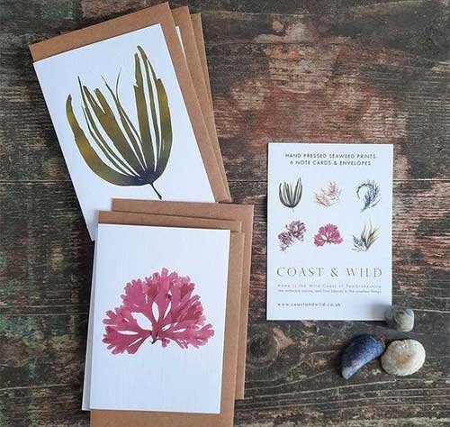 Seaweed notecard packs