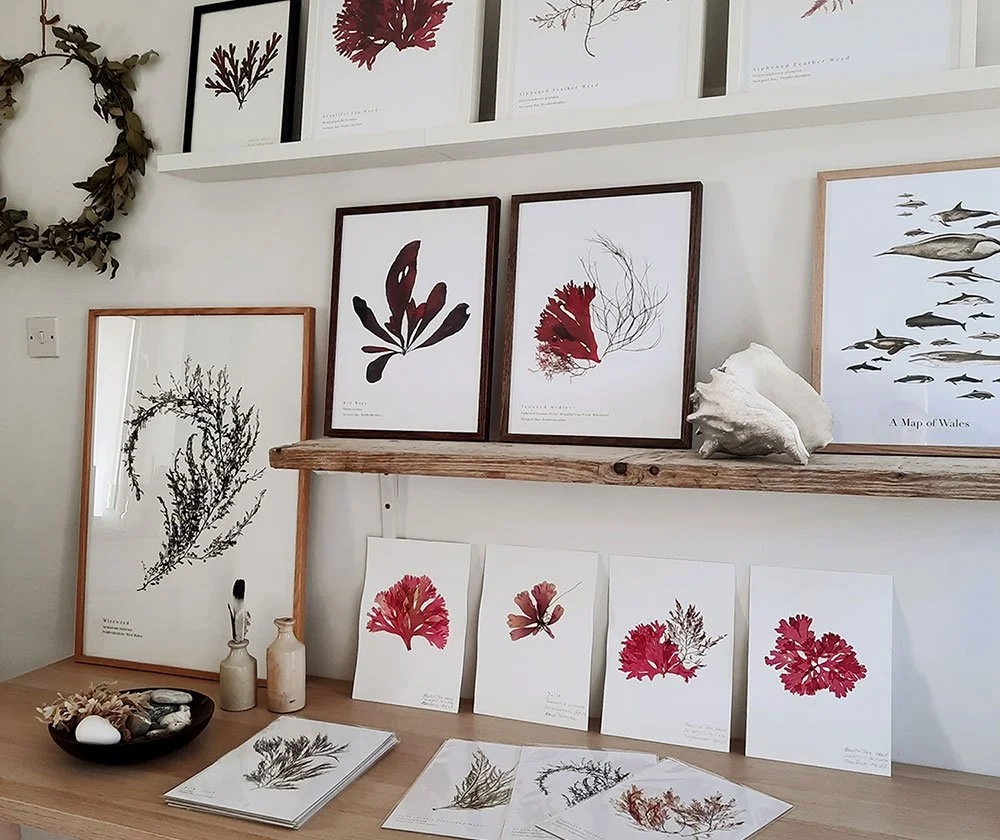 Image showing the inside of our seaweed print studio in Dinas Cross