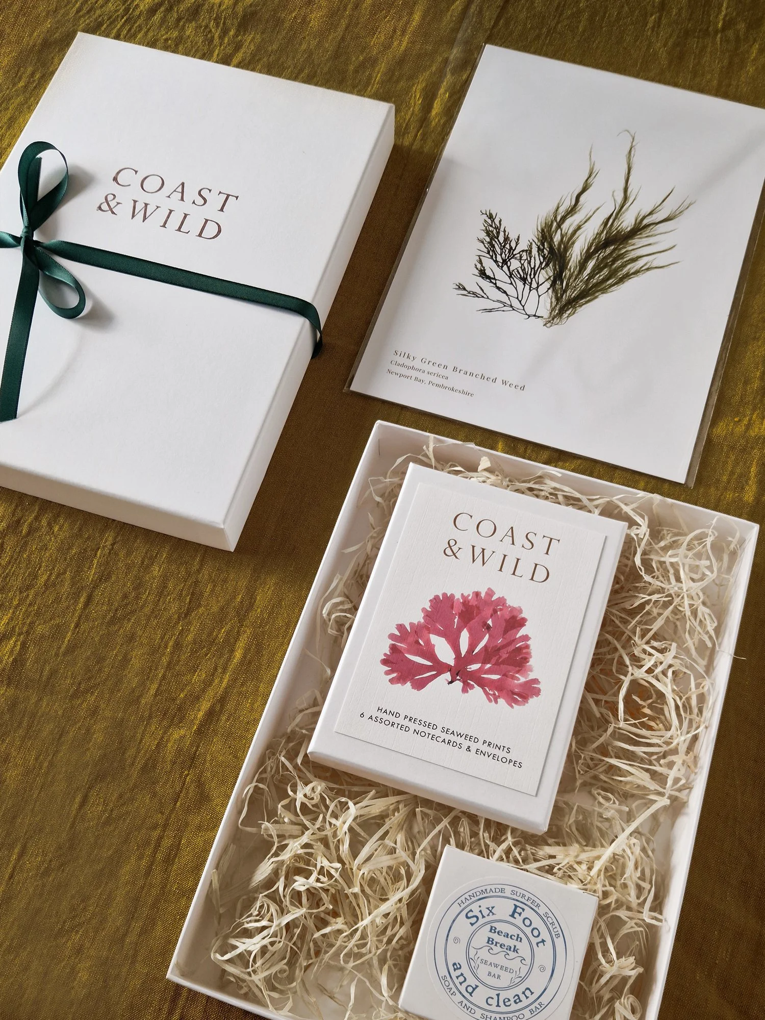 Coast & Wild gift boxed set. One A4 seaweed print, pack of seaweed notecards, bar of seaweed soap.