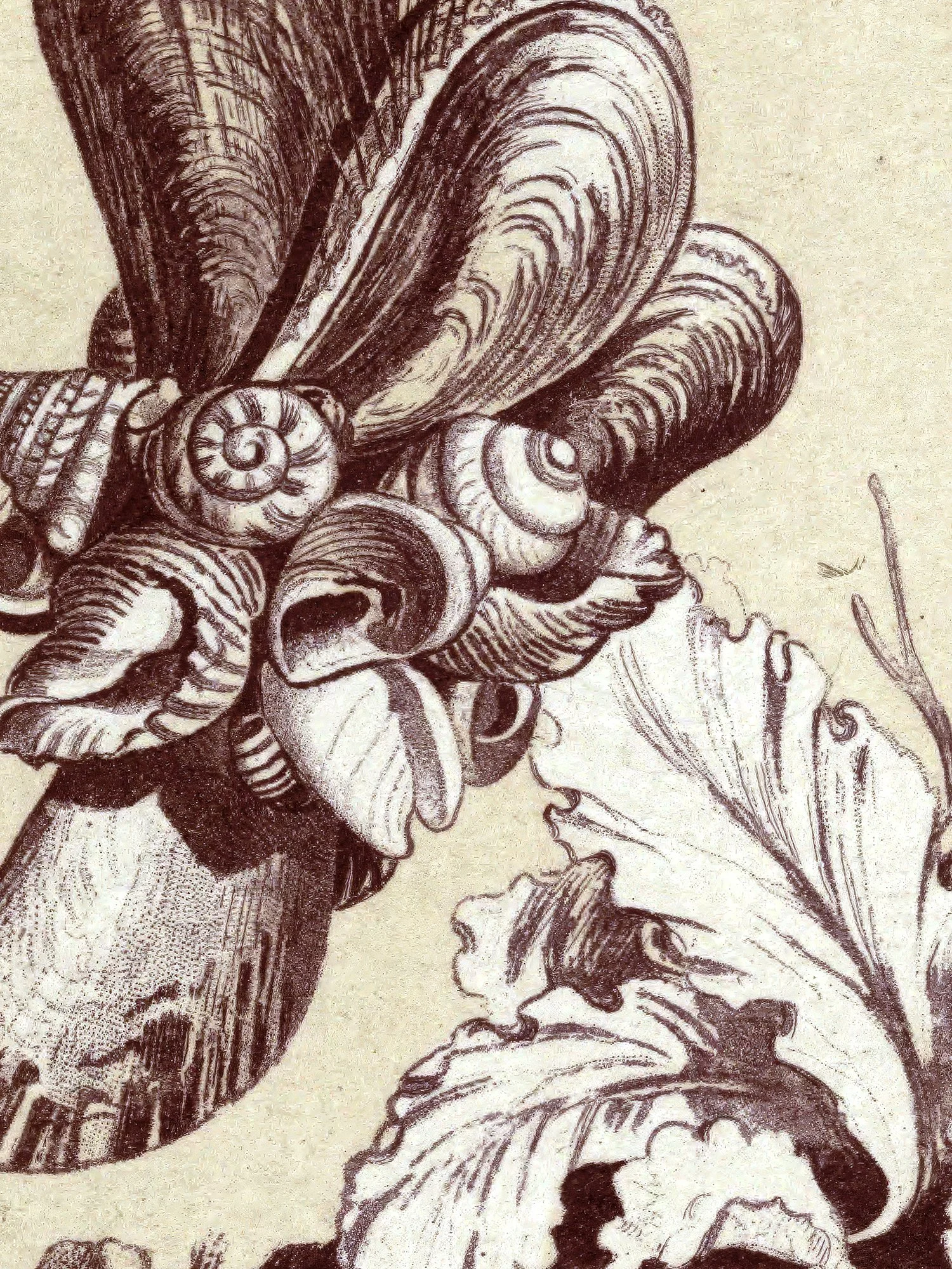 Detail taken from the A Sketch From Nature print.