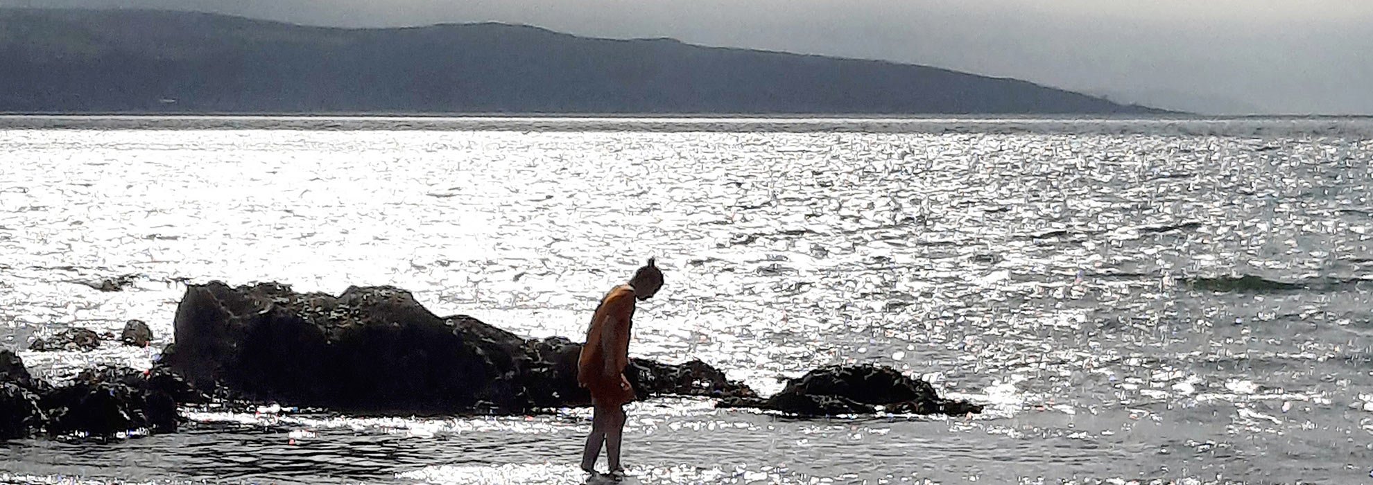 foraging-seaweed-at-pwllgwaelod-beach.jpg