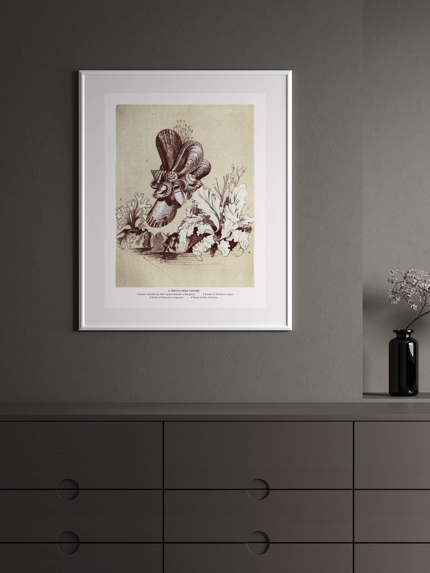 A Sketch From Nature print