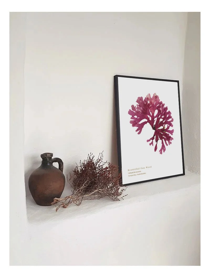 Beautiful Fan Weed 8 print, shown framed