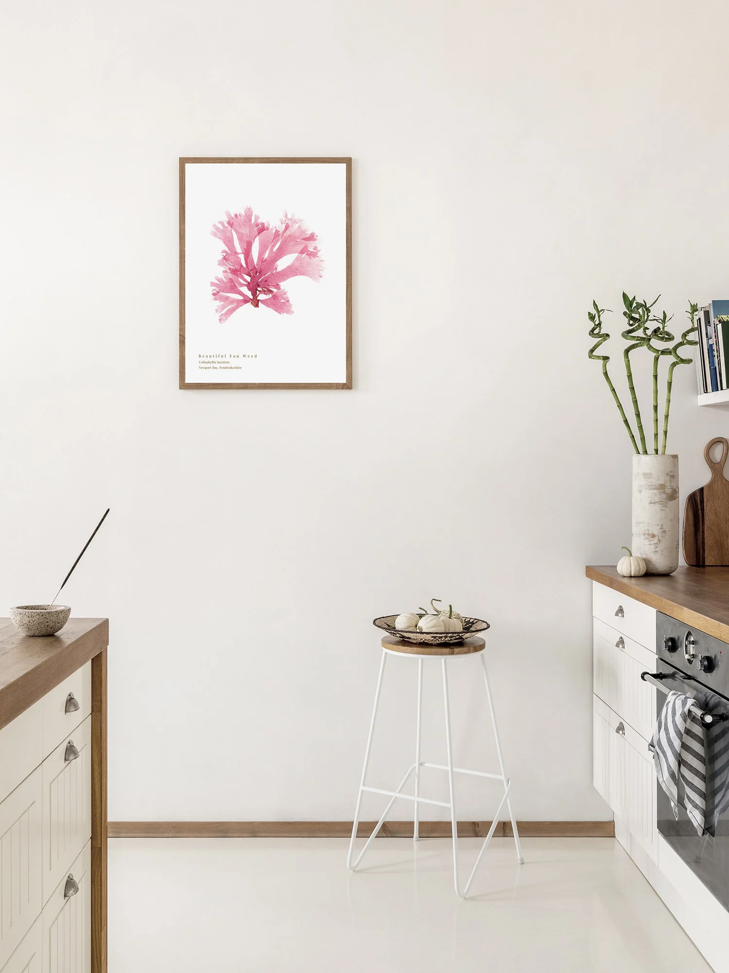 Imagte showing the Beautifulo Fan Weed seaweed print framed in a kitchen setting.