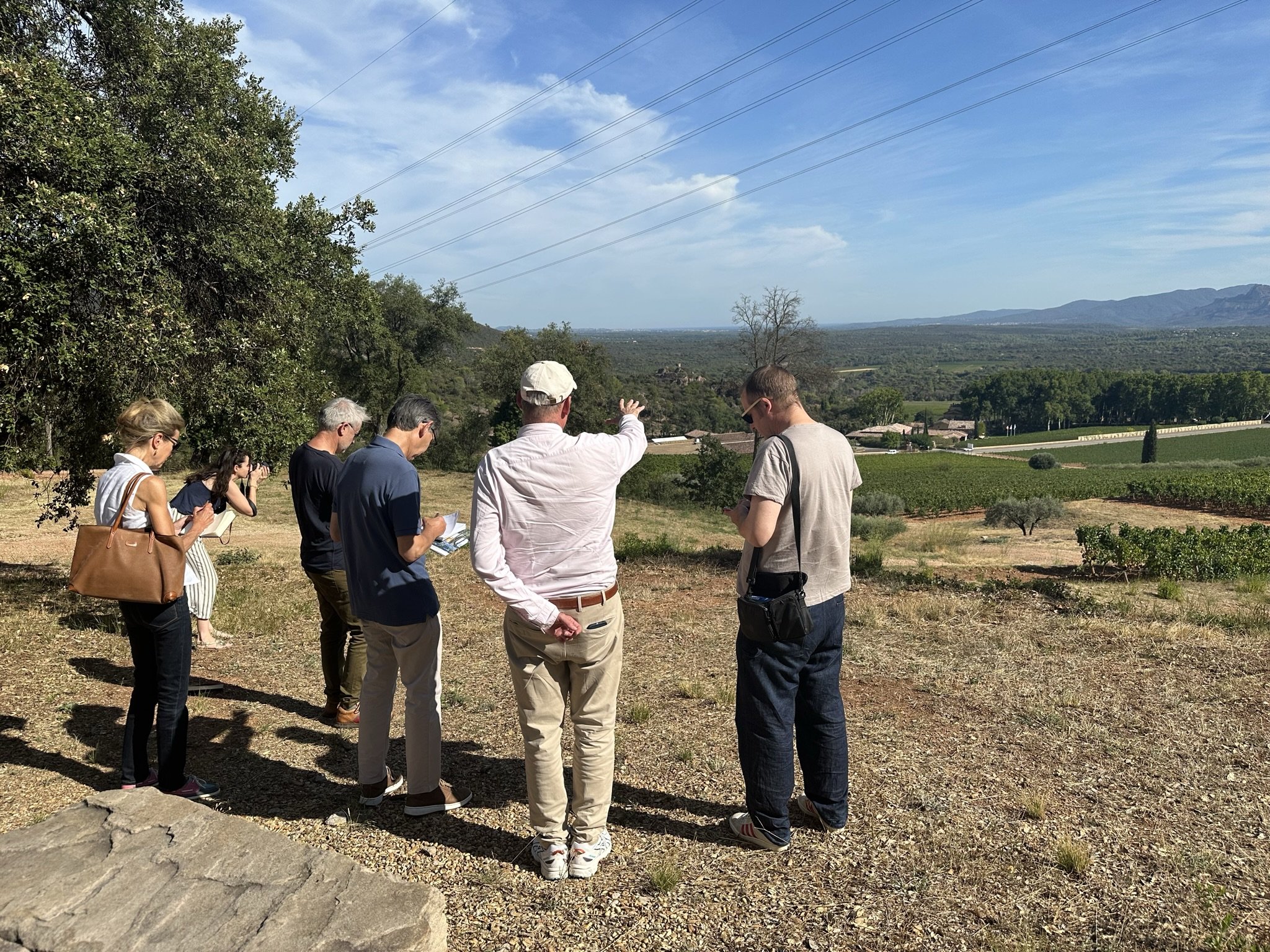 Looking out over Vallée d’Esclans