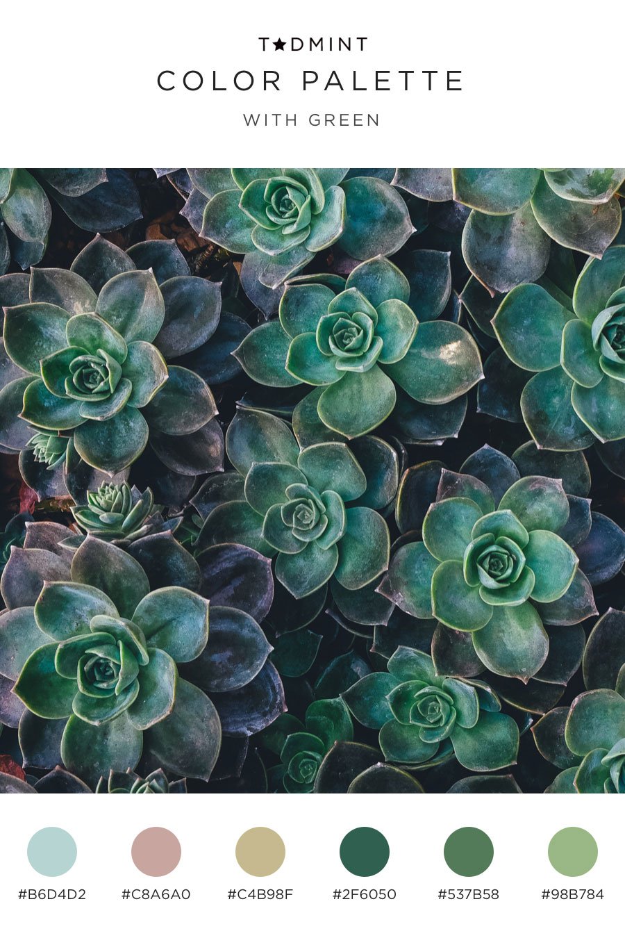 color palettes with green inspired by succulents