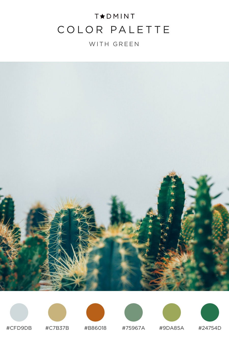 color palettes with green inspired by cacti