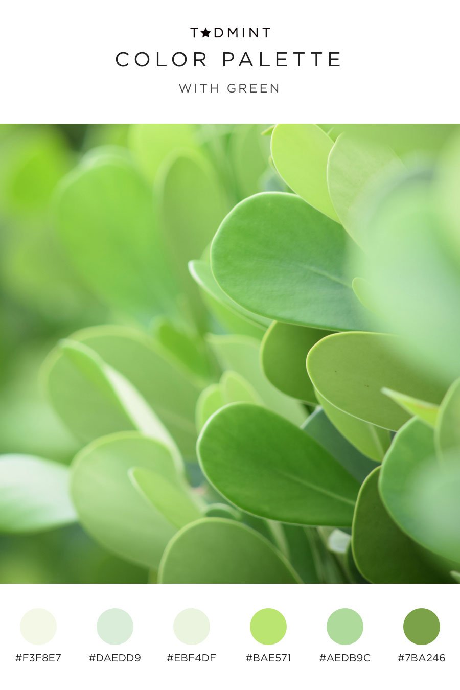 color palettes with green inspired by leaves