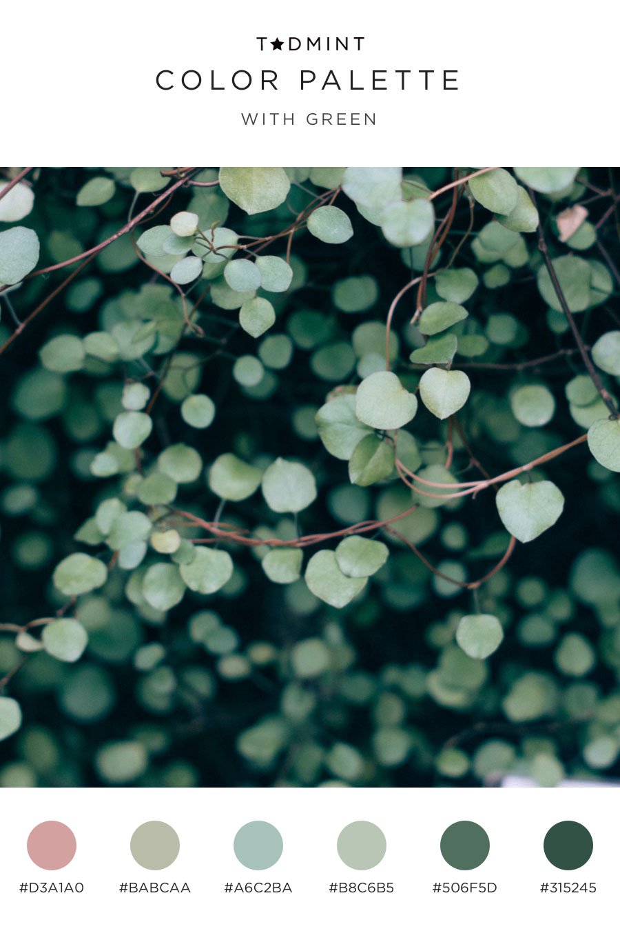 color palettes with green inspired by small leaves